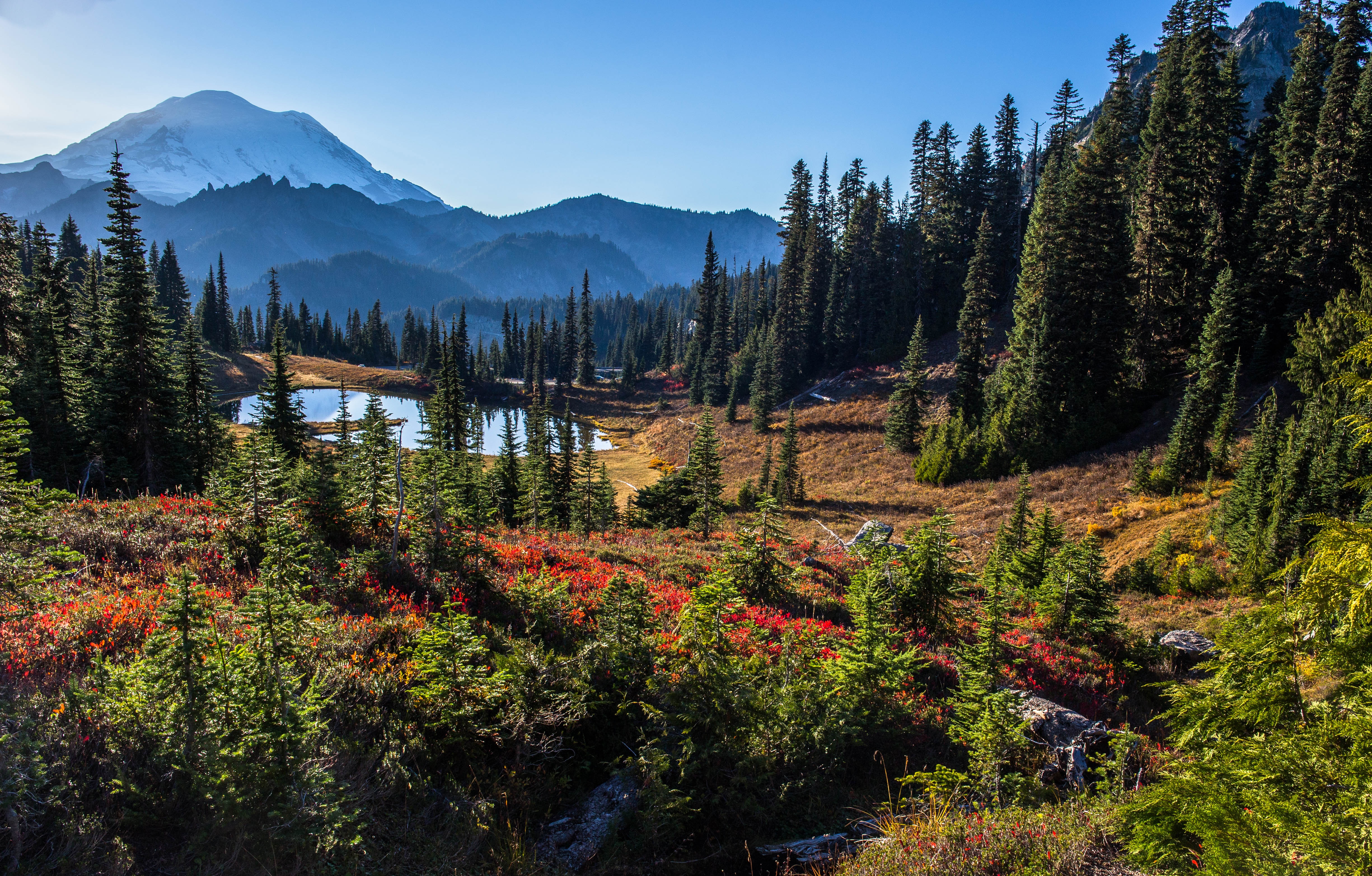 Téléchargez gratuitement l'image Paysage, Montagnes, Montagne, Lac, Arbre, Mont Rainier, La Nature, Terre/nature sur le bureau de votre PC