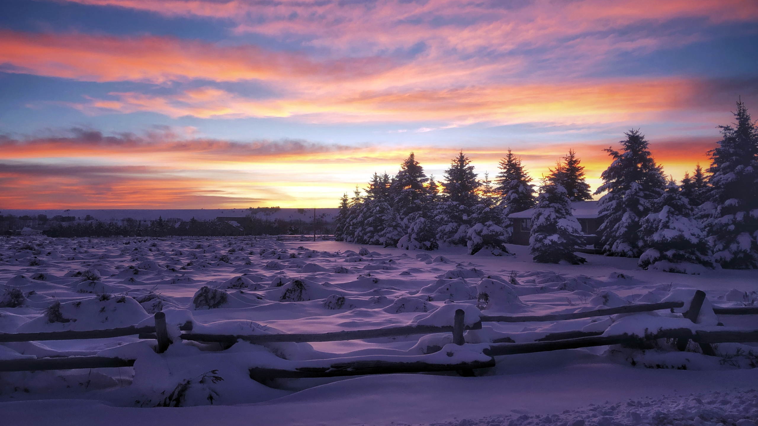 Free download wallpaper Winter, Sunset, Snow, Fence, Photography, Fir Tree on your PC desktop
