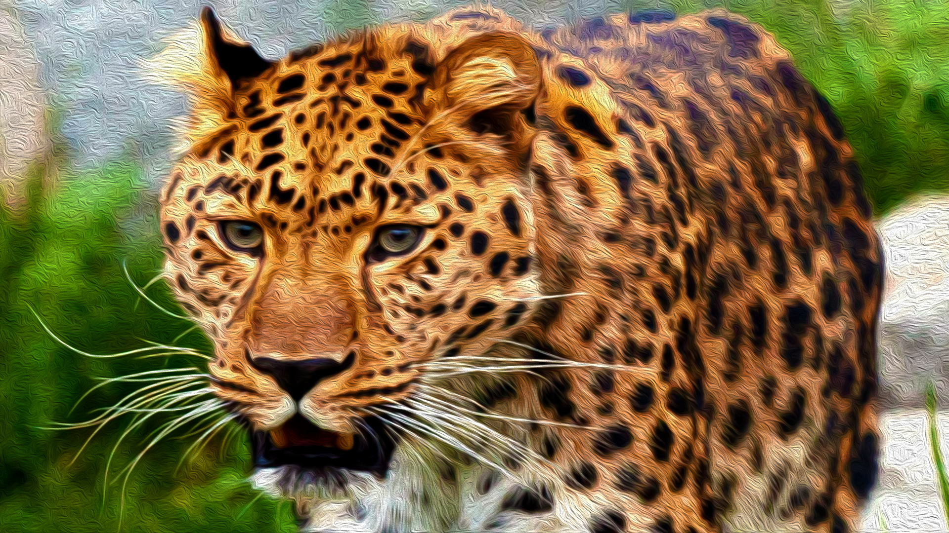 Скачать картинку Животные, Леопард, Кошки в телефон бесплатно.