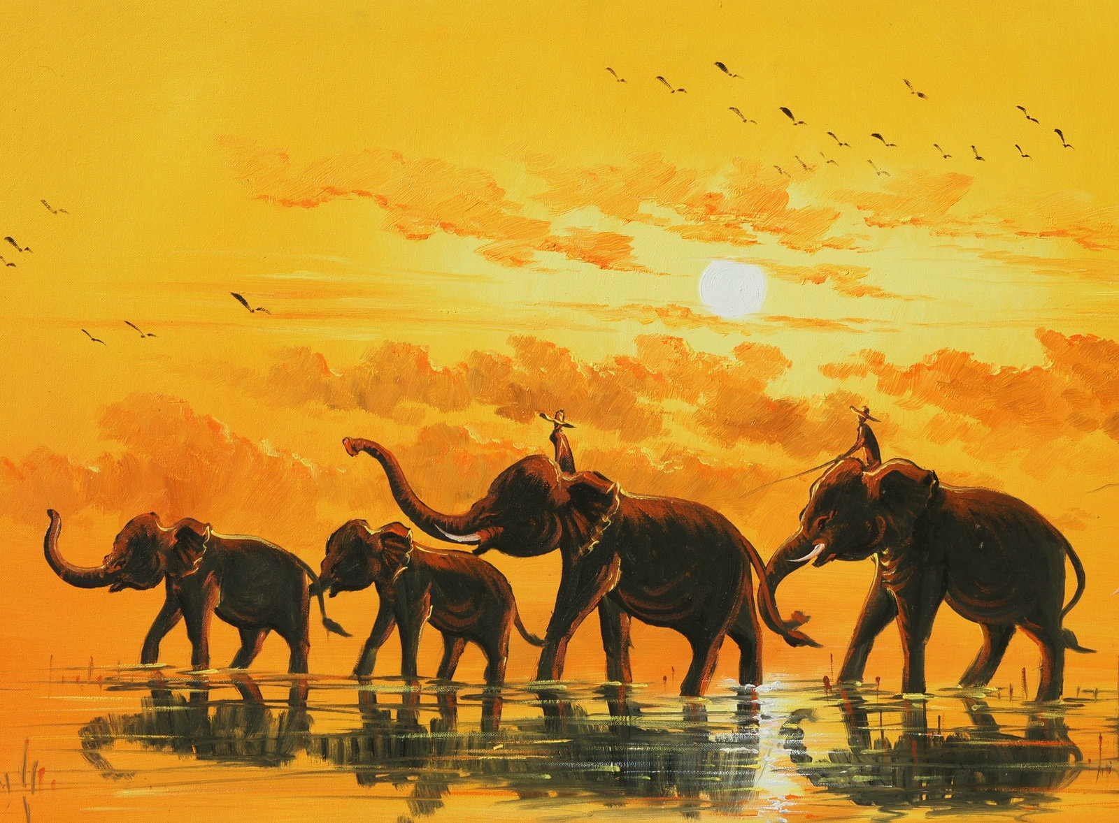 Laden Sie das Tiere, Elefanten, Afrikanischer Elefant-Bild kostenlos auf Ihren PC-Desktop herunter