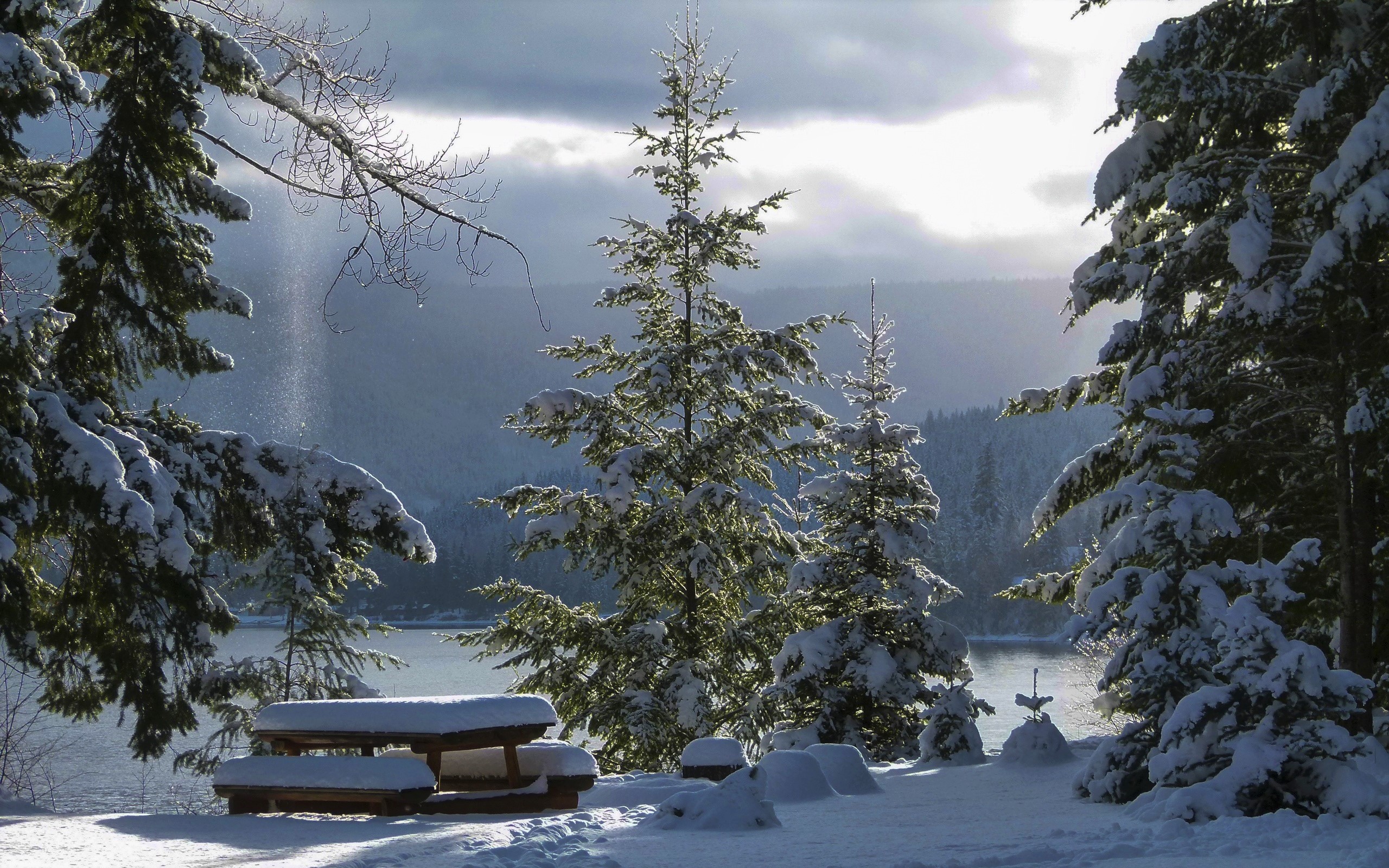 Laden Sie das Winter, Schnee, Baum, Erde, Wolke, Fotografie-Bild kostenlos auf Ihren PC-Desktop herunter