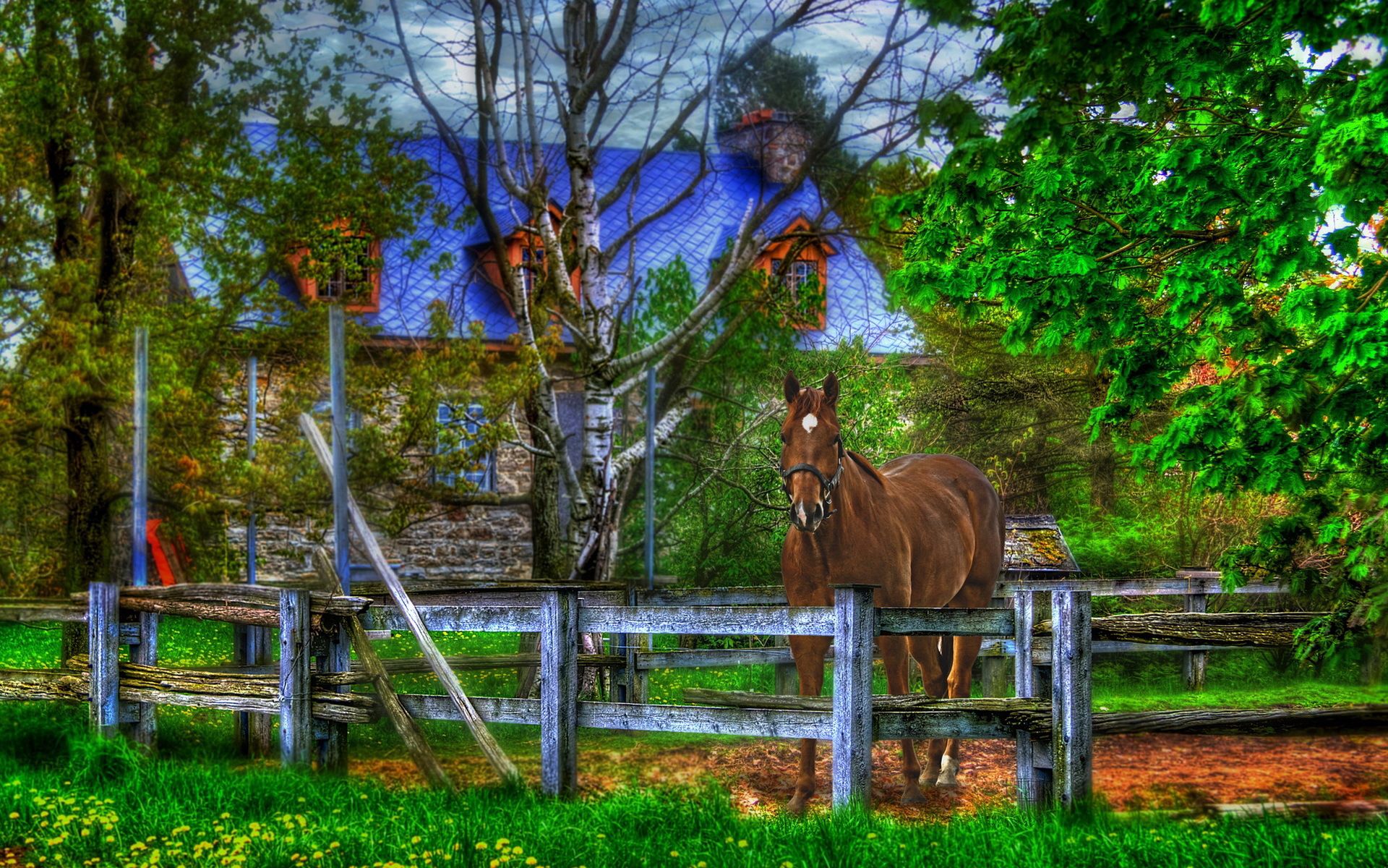 Laden Sie das Haus, Zaun, Pferd, Tiere-Bild kostenlos auf Ihren PC-Desktop herunter