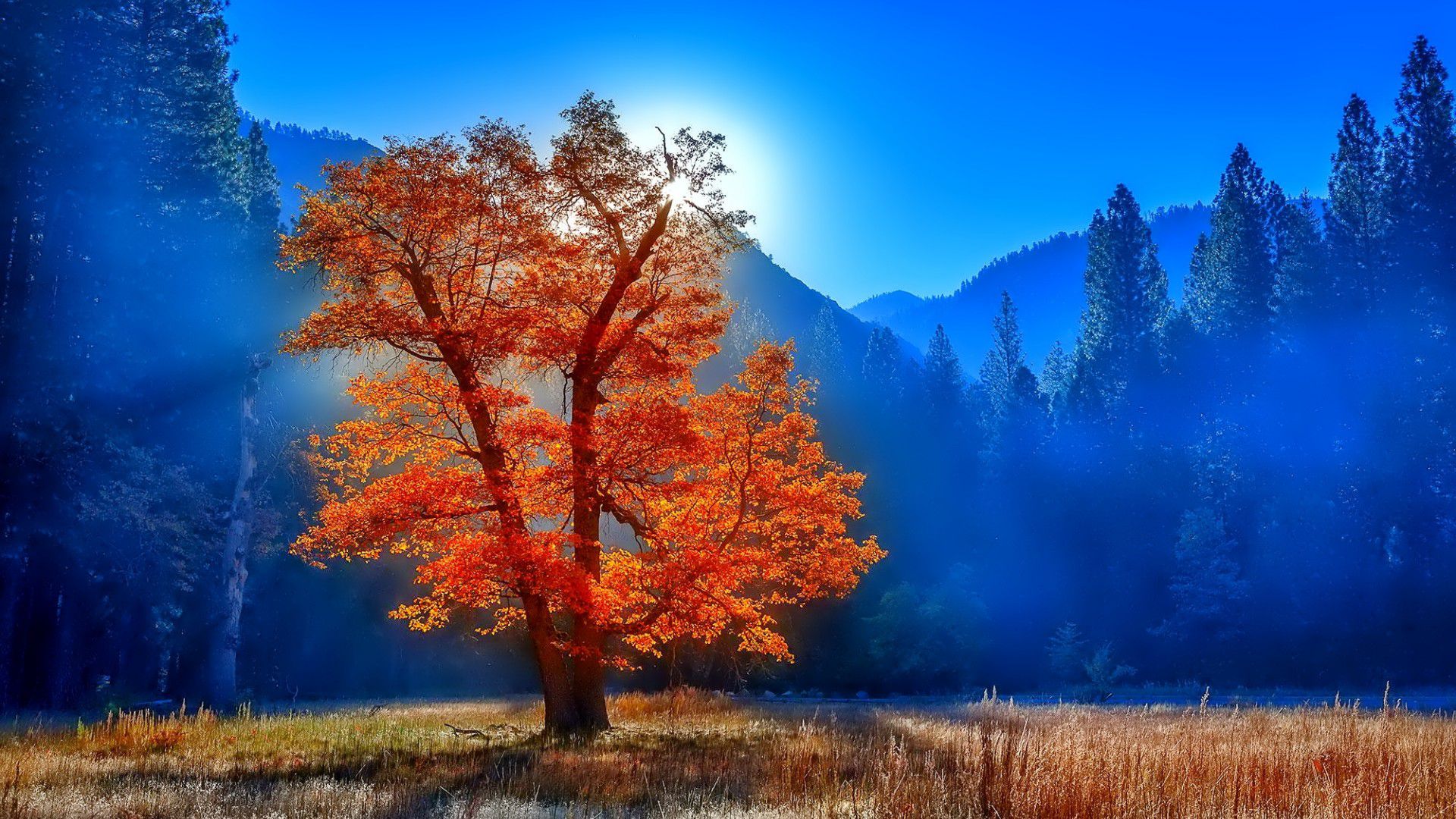Скачать обои бесплатно Деревья, Осень, Гора, Дерево, Земля/природа картинка на рабочий стол ПК