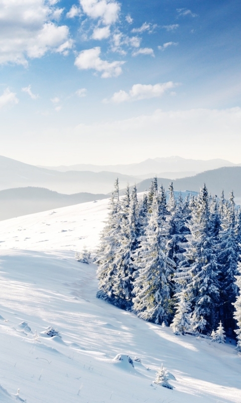 Descarga gratuita de fondo de pantalla para móvil de Invierno, Tierra/naturaleza.