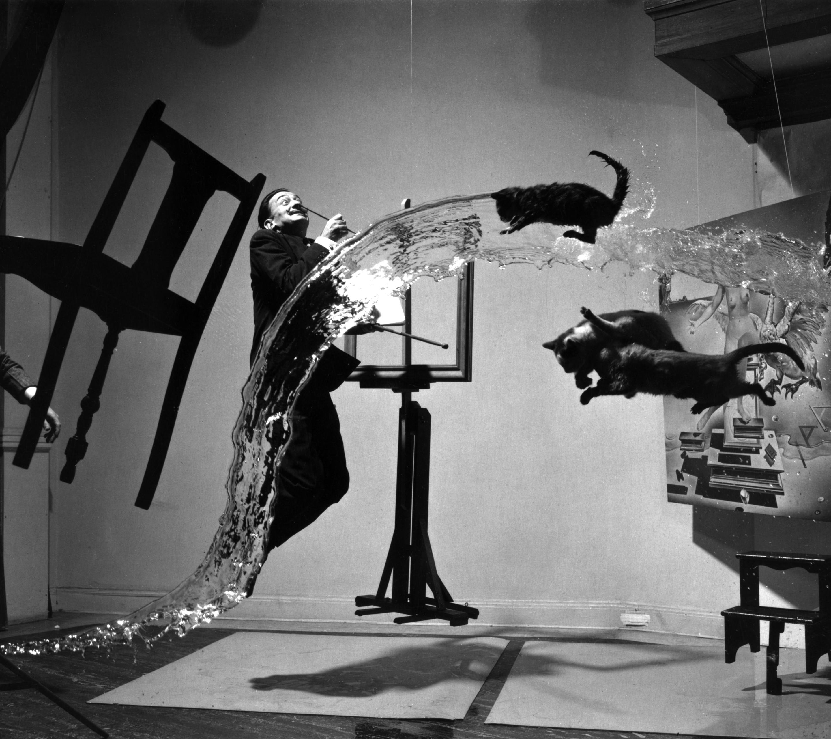 Descarga gratis la imagen Gato, Artístico, Blanco Y Negro, Salvador Dalí en el escritorio de tu PC