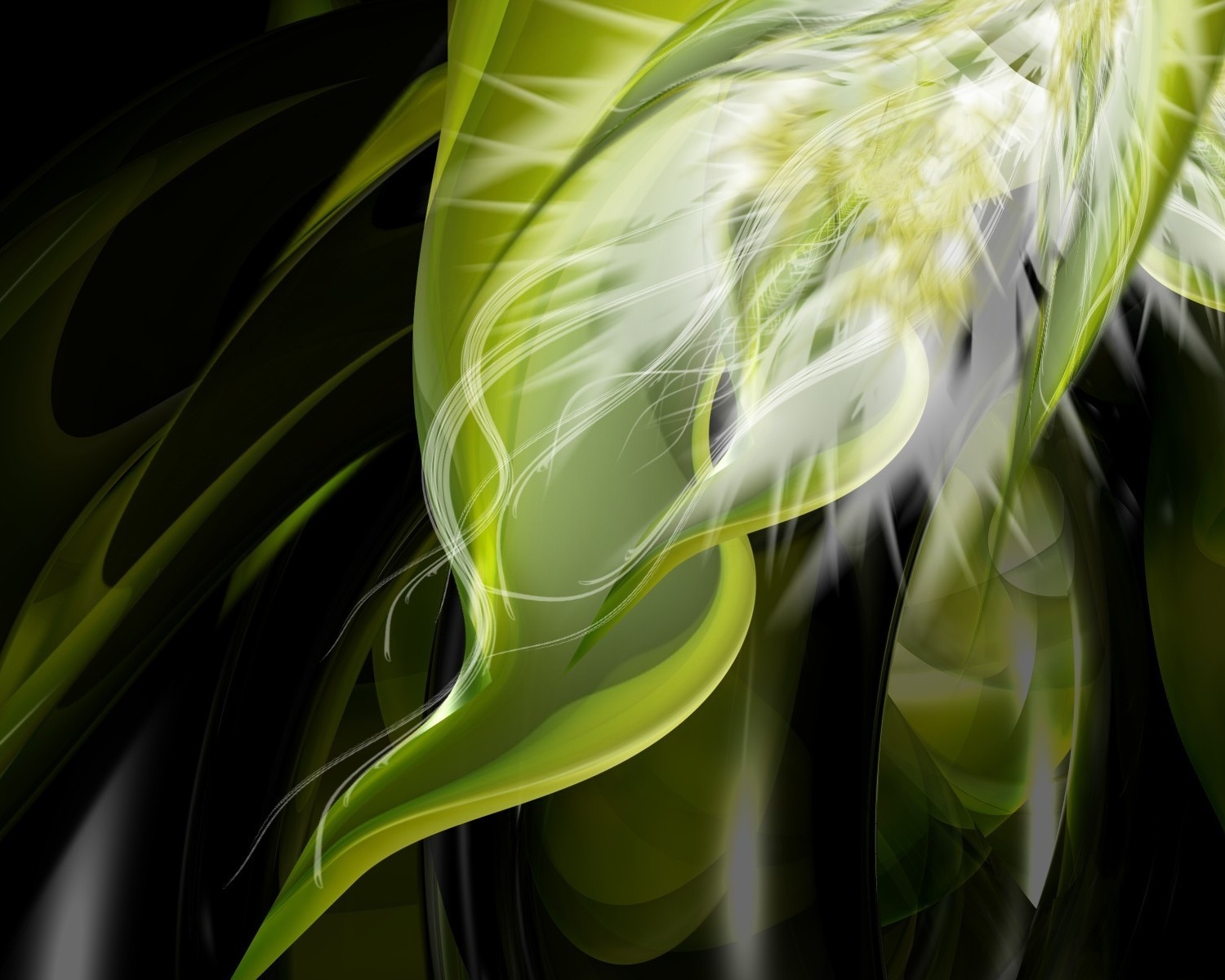 abstract, figure, plant, shine, light, bright, pattern desktop HD wallpaper