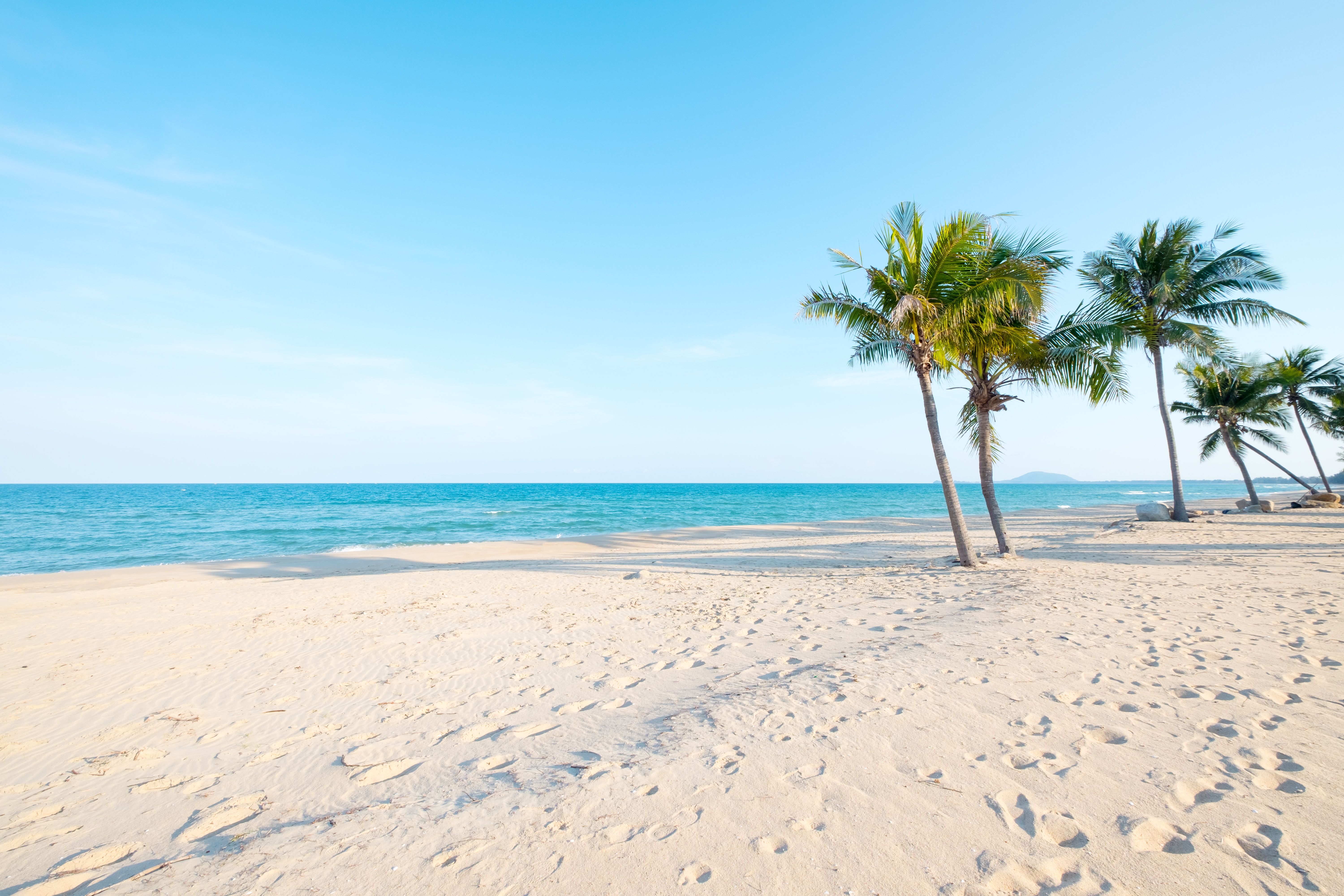 Download mobile wallpaper Beach, Sand, Horizon, Ocean, Earth, Tropical, Palm Tree for free.