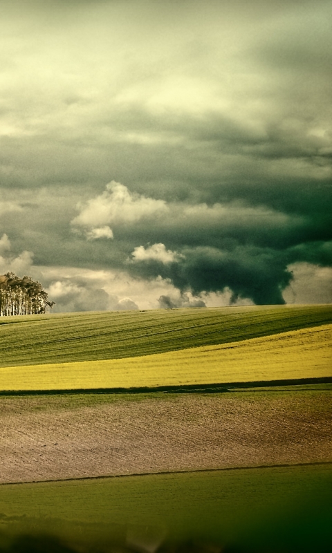 Download mobile wallpaper Landscape, Nature, Road, Tree, Earth, Field, Cloud for free.