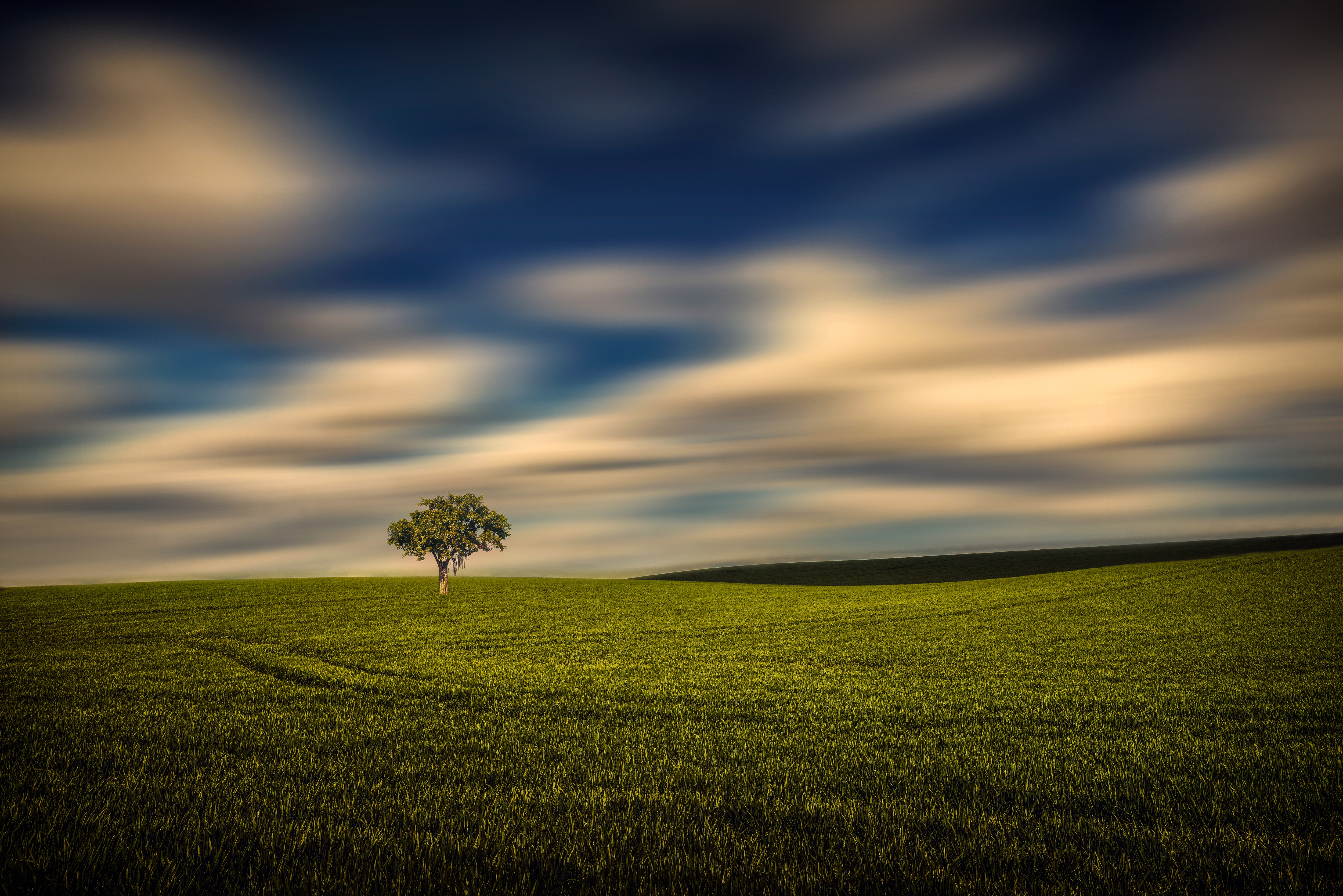 Download mobile wallpaper Nature, Sky, Tree, Earth, Field for free.