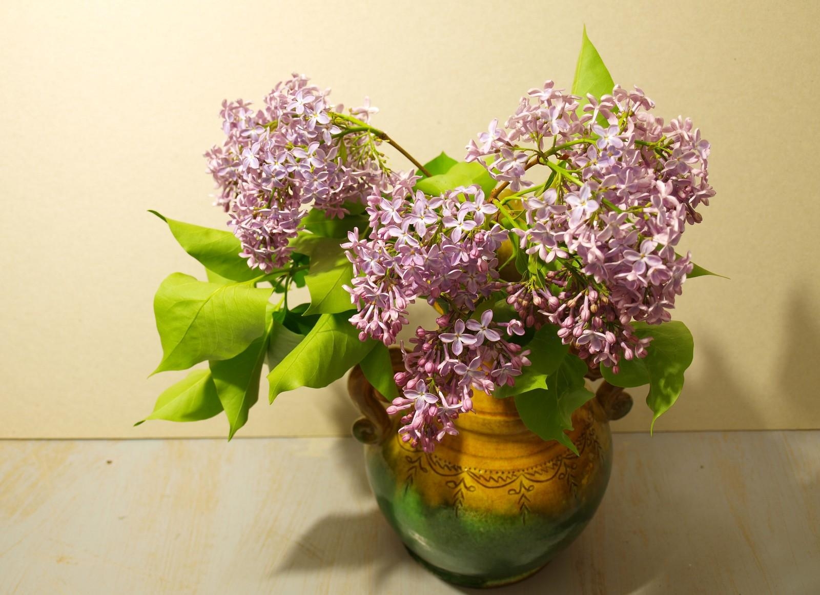 Handy-Wallpaper Geäst, Zweige, Bouquet, Blumen, Strauß, Vase, Lilac, Frühling kostenlos herunterladen.