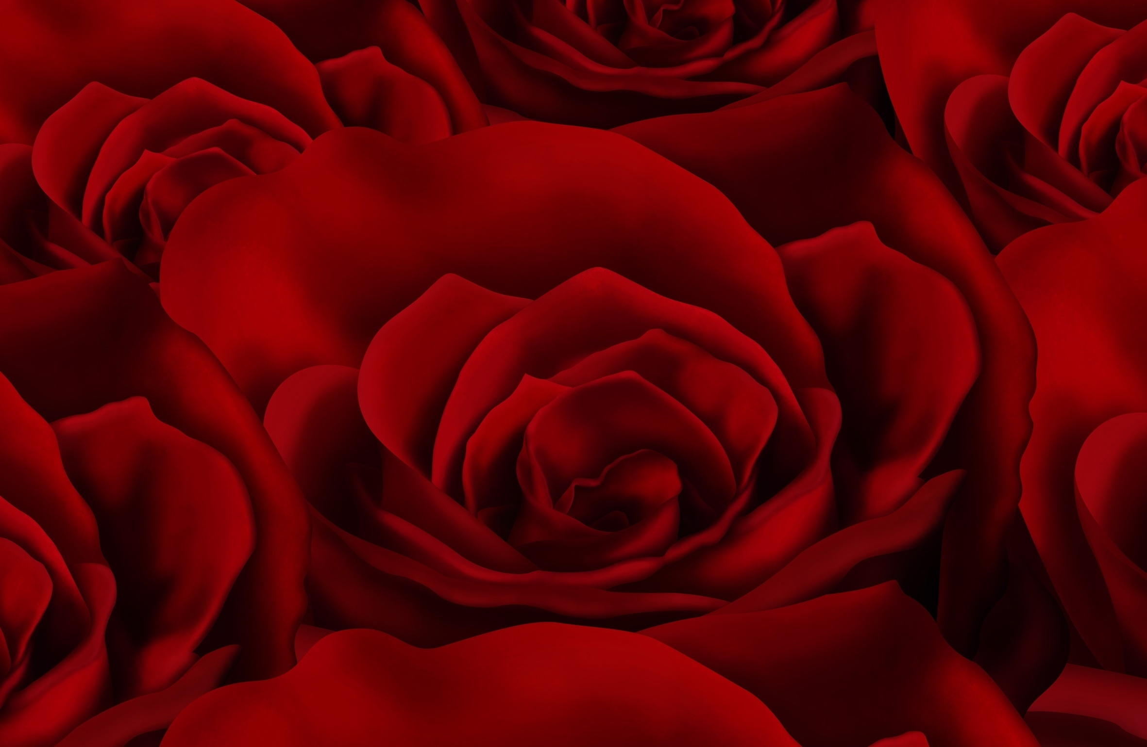 Скачать обои бесплатно Роза, Красный, Красная Роза, Художественные картинка на рабочий стол ПК