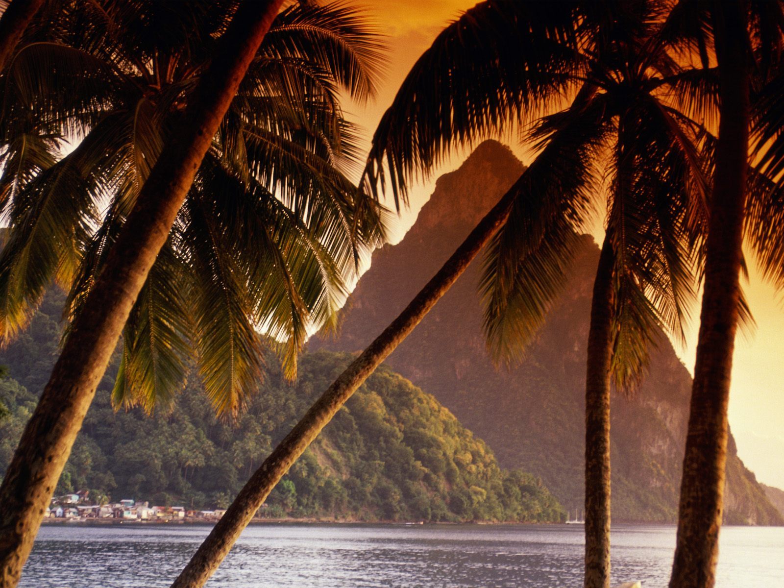 Download mobile wallpaper Landscape, Sea, Mountains, Palms for free.