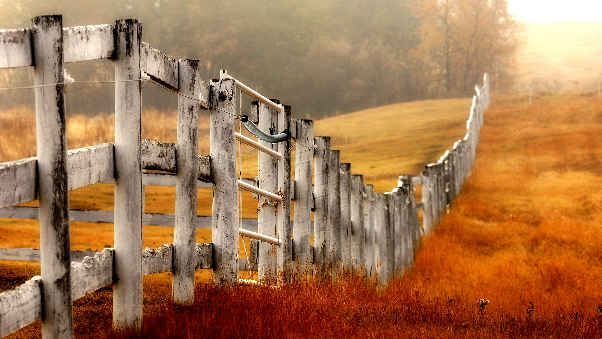 Download mobile wallpaper Grass, Fall, Field, Fence, Man Made for free.