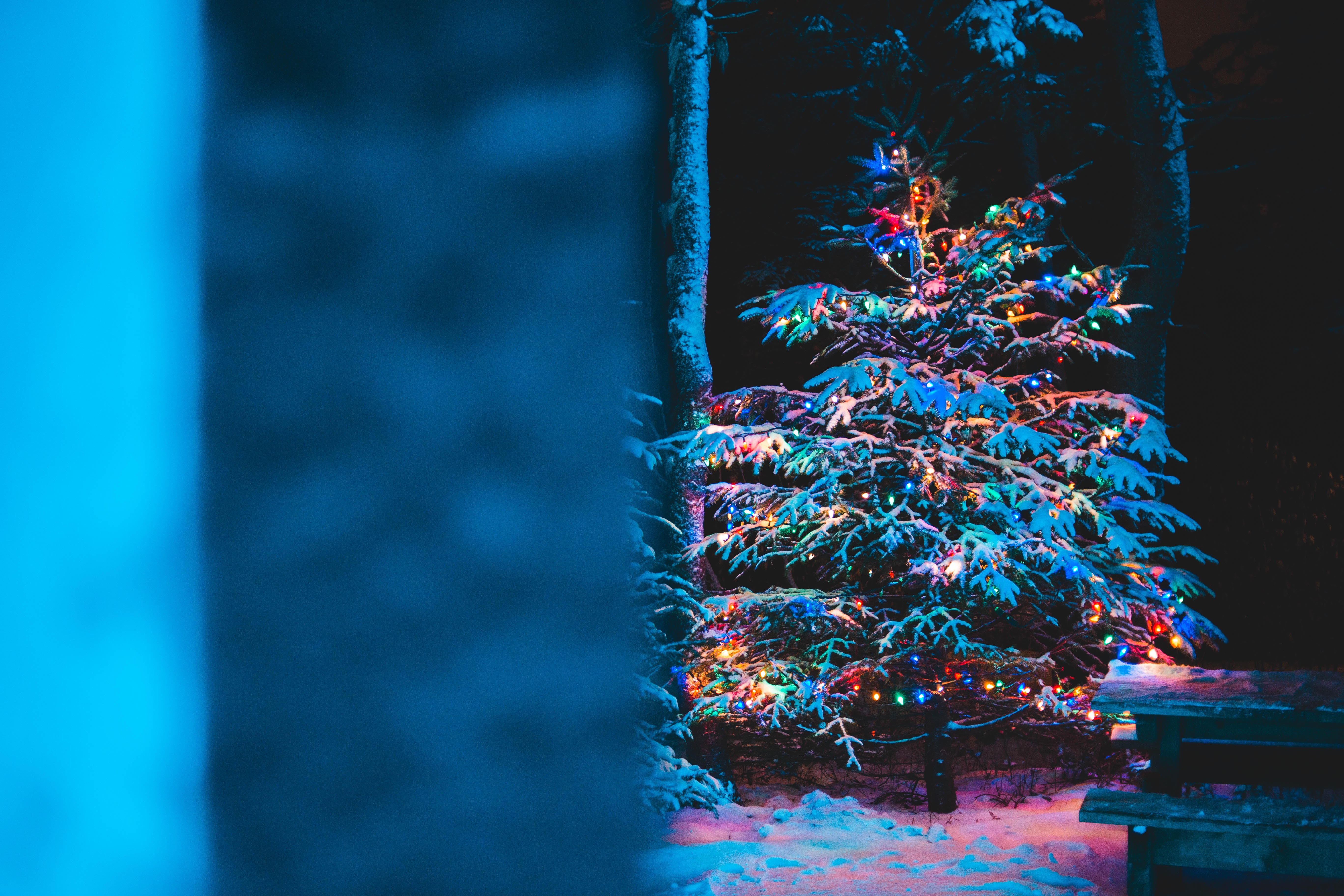 Baixe gratuitamente a imagem Férias, Ano Novo, Neve, Natal, Árvore De Natal, Guirlanda, Guirlandas na área de trabalho do seu PC