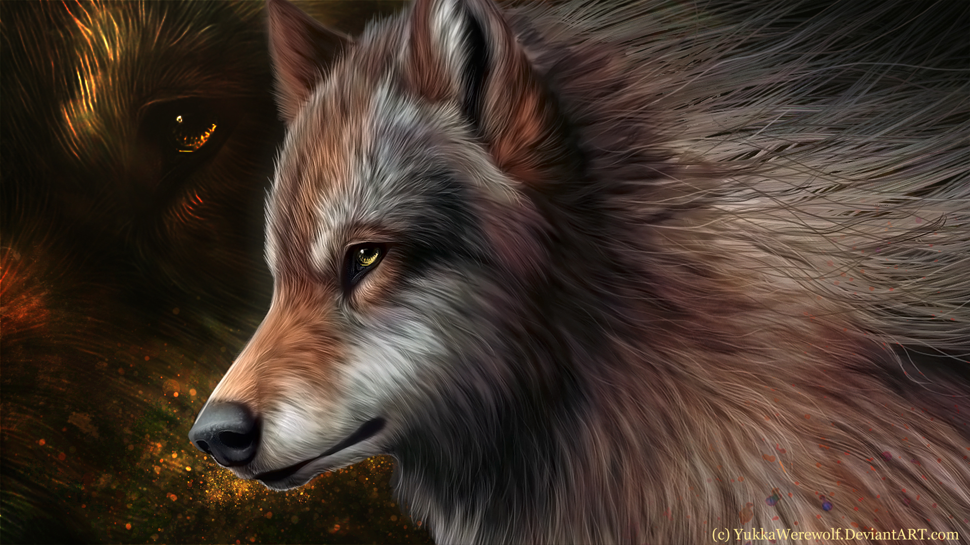 Free download wallpaper Animals, Pictures, Wolfs on your PC desktop