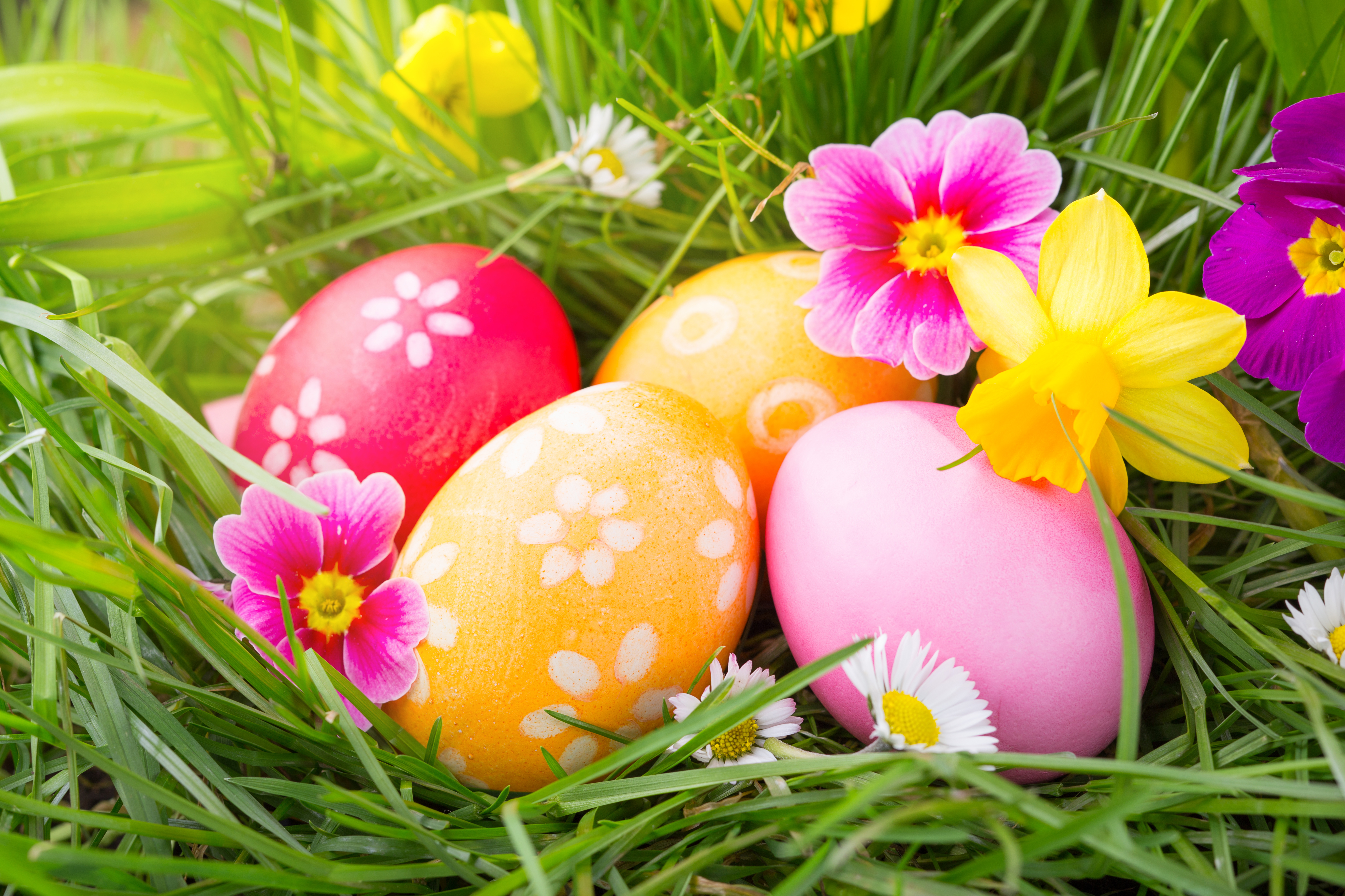 Download mobile wallpaper Grass, Easter, Flower, Holiday, Colorful, Easter Egg for free.