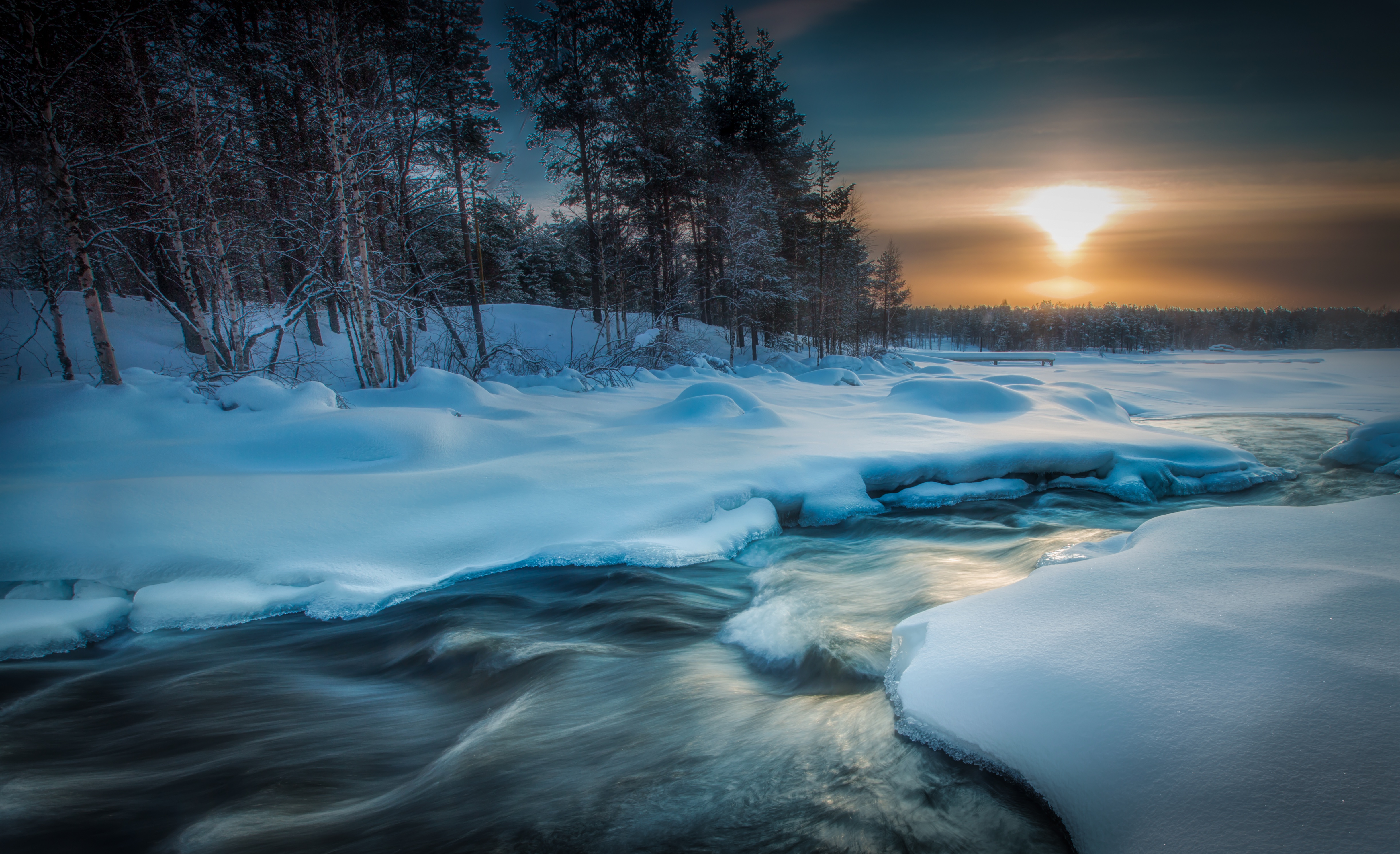sunset, pine tree, earth, winter, river, stream, sun Free Stock Photo