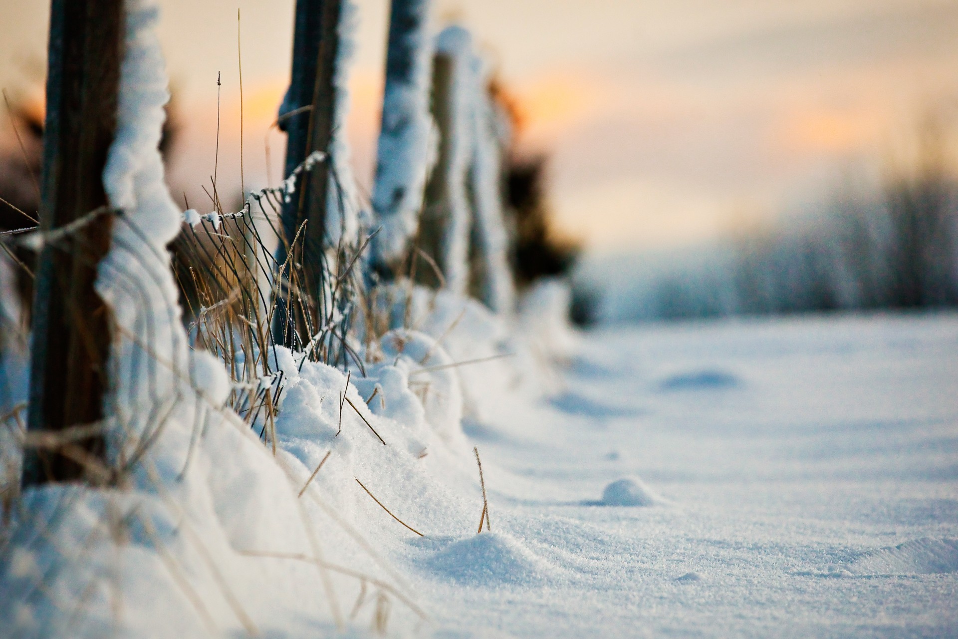 Handy-Wallpaper Winter, Fotografie kostenlos herunterladen.