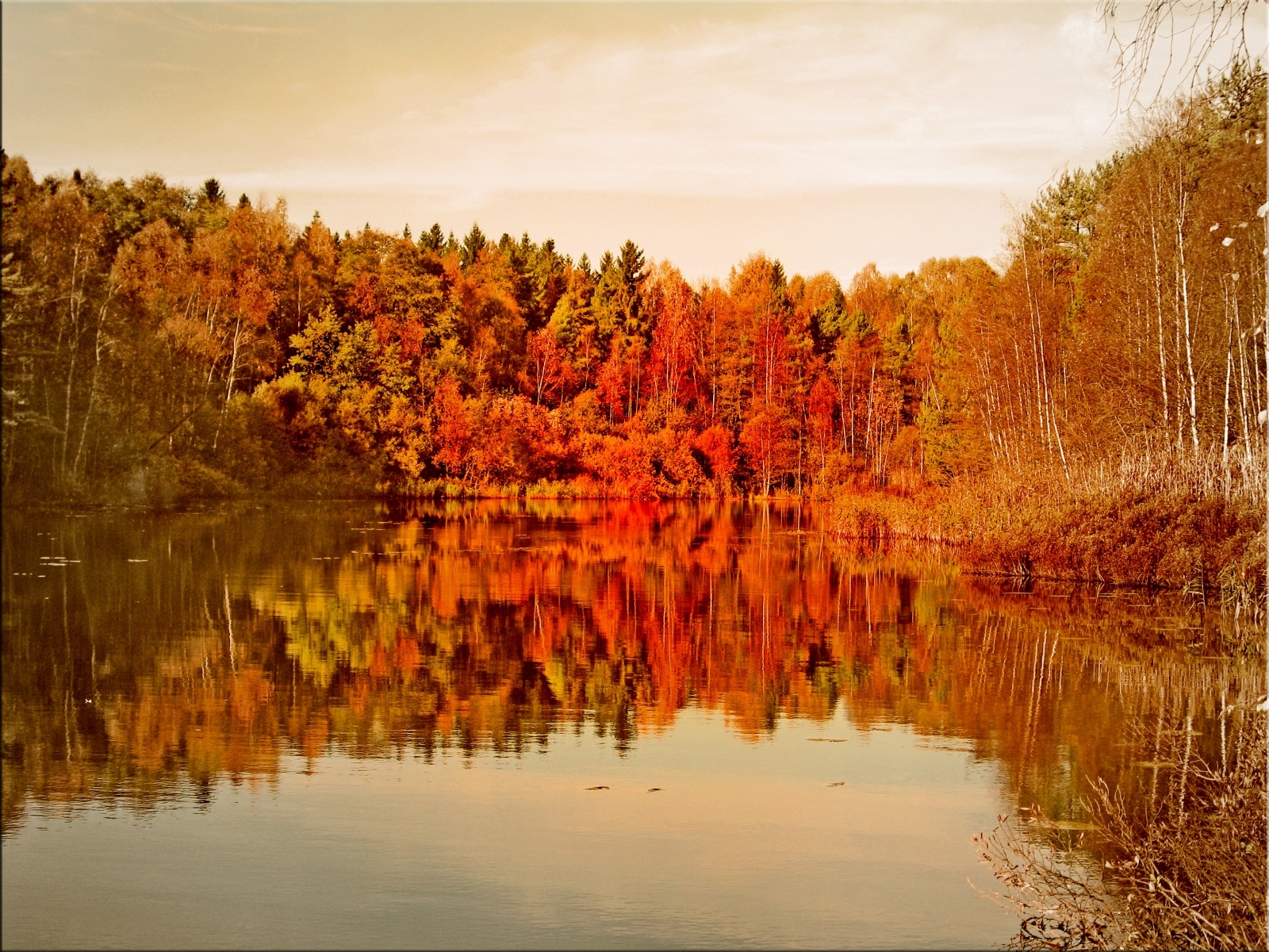 無料モバイル壁紙風景, 水, 木, オレンジ, 湖, 秋をダウンロードします。