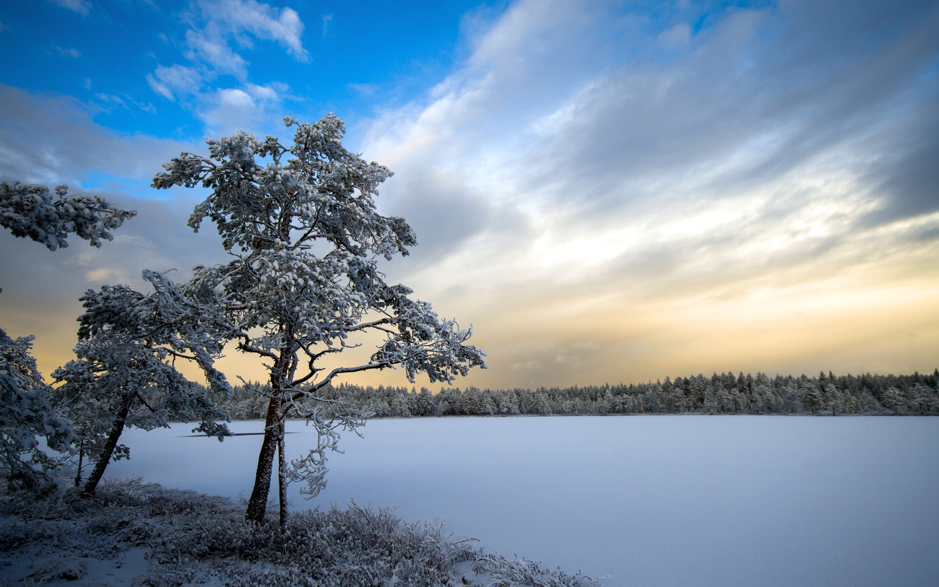 Free download wallpaper Winter, Earth on your PC desktop