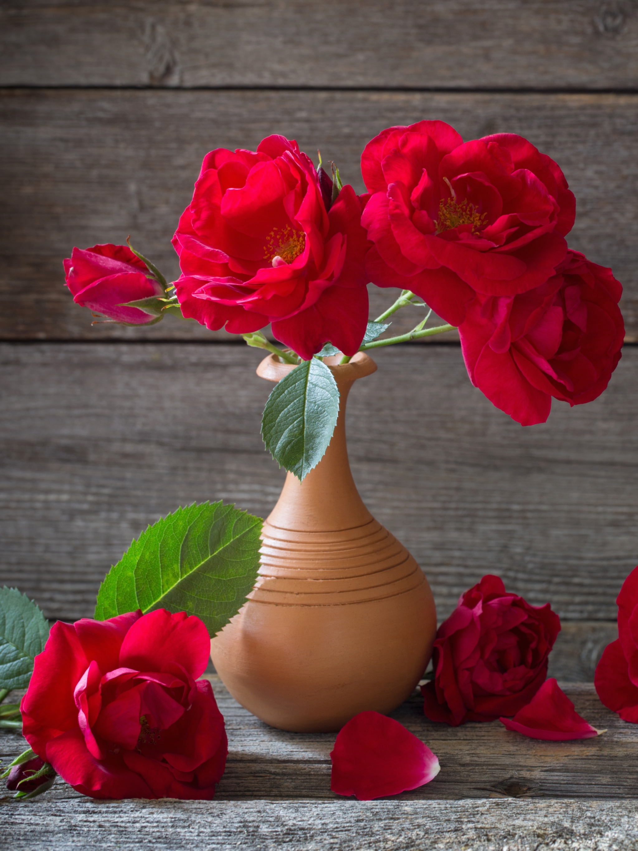 Téléchargez des papiers peints mobile Rose, Fleur, Vase, Photographie, Rose Rouge, Nature Morte gratuitement.