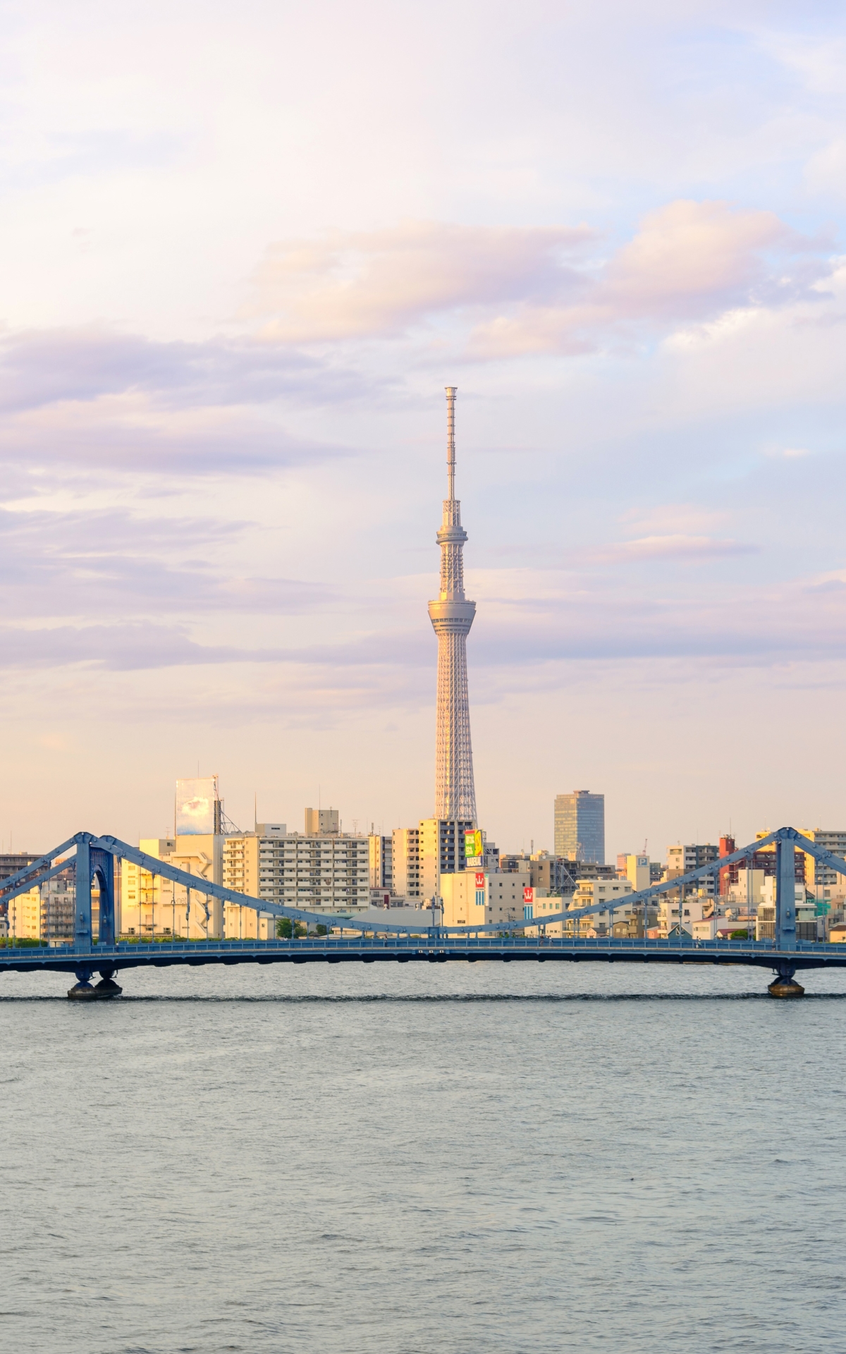 Descarga gratuita de fondo de pantalla para móvil de Ciudades, Ciudad, Rascacielos, Edificio, Puente, Japón, Tokio, Hecho Por El Hombre, Árbol Del Cielo De Tokio.