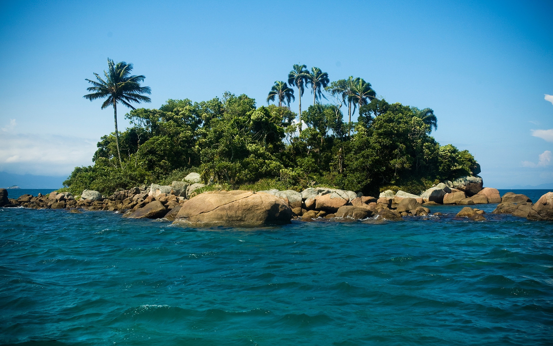 32315 Bild herunterladen landschaft, sea, palms - Hintergrundbilder und Bildschirmschoner kostenlos