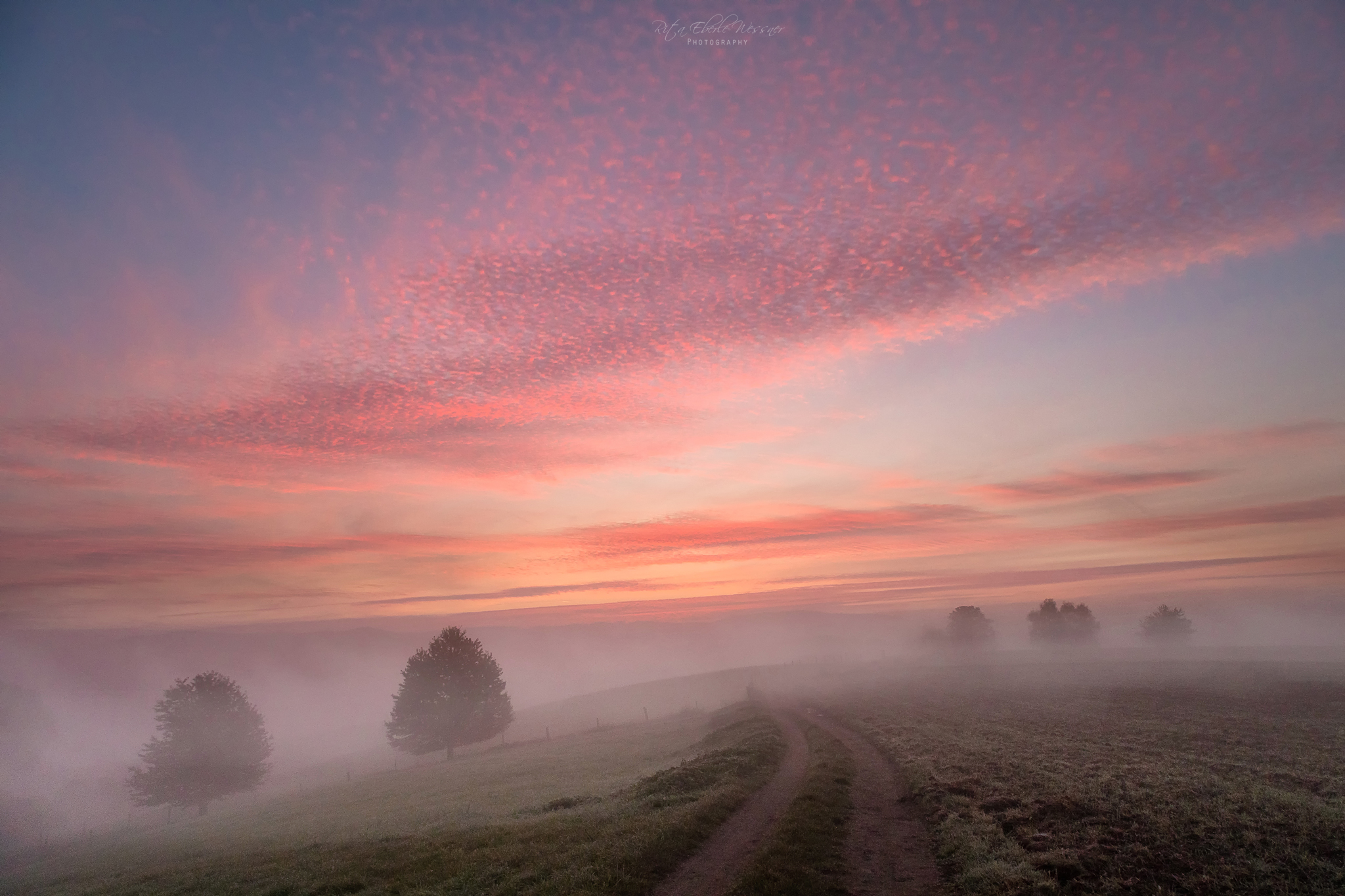 Laden Sie das Nebel, Sonnenaufgang, Erde/natur-Bild kostenlos auf Ihren PC-Desktop herunter