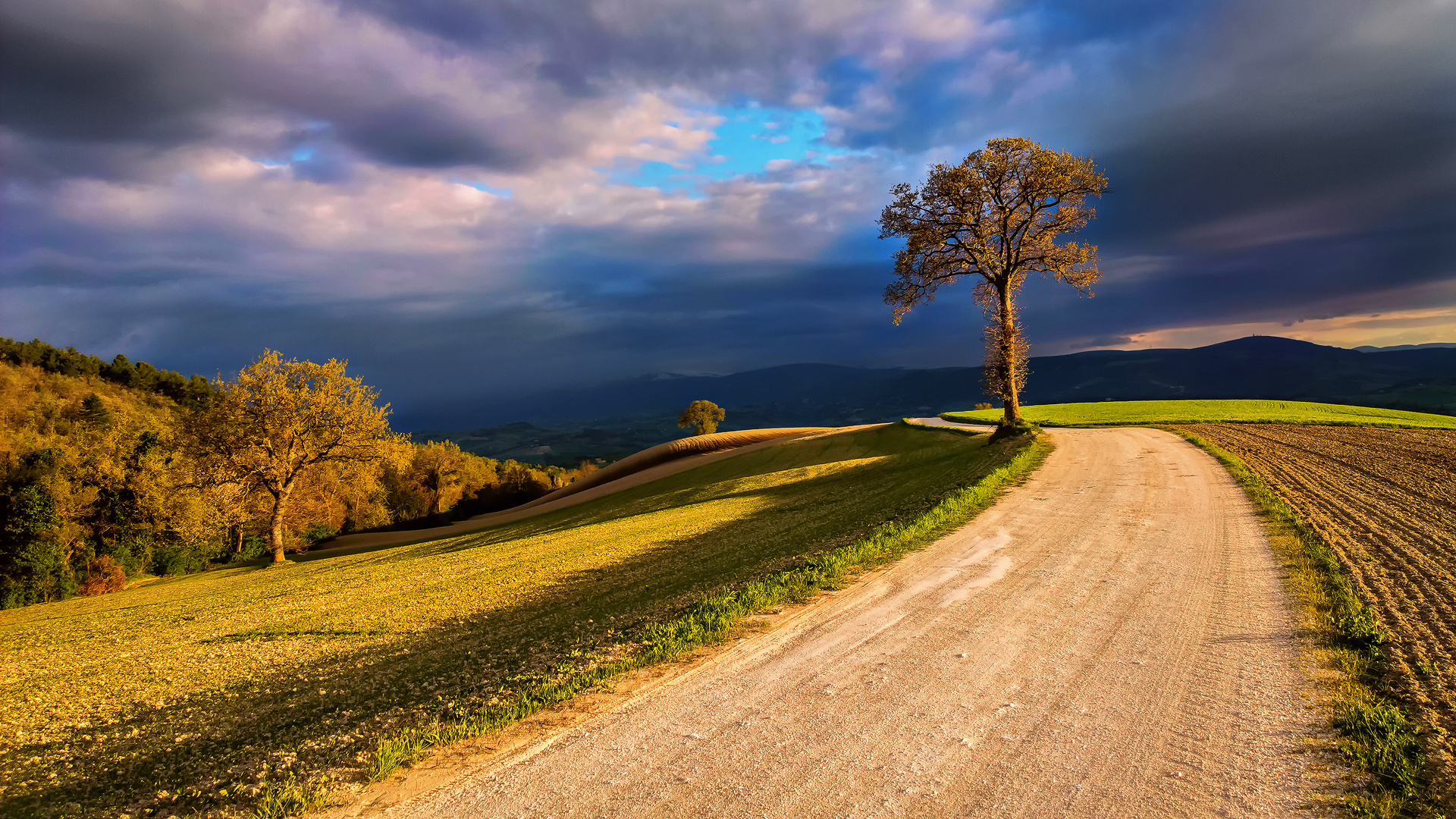 Download mobile wallpaper Landscape, Road, Tree, Field, Cloud, Man Made, Dirt Road for free.