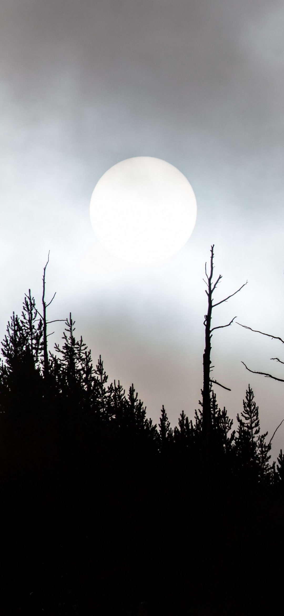 Baixar papel de parede para celular de Lua, Terra/natureza gratuito.