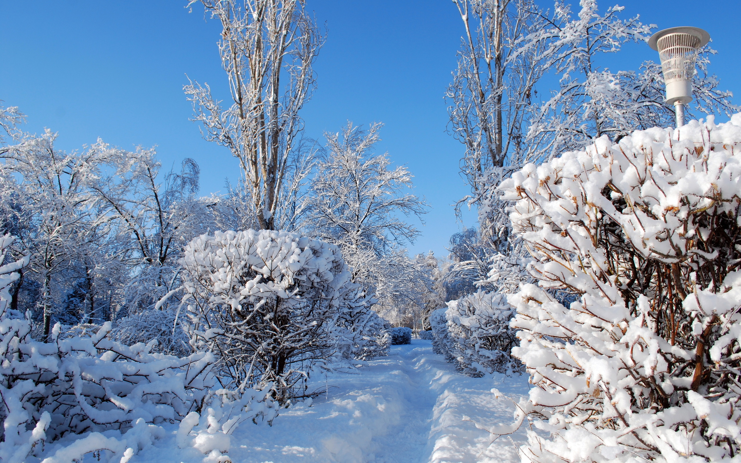 Free download wallpaper Winter, Earth on your PC desktop