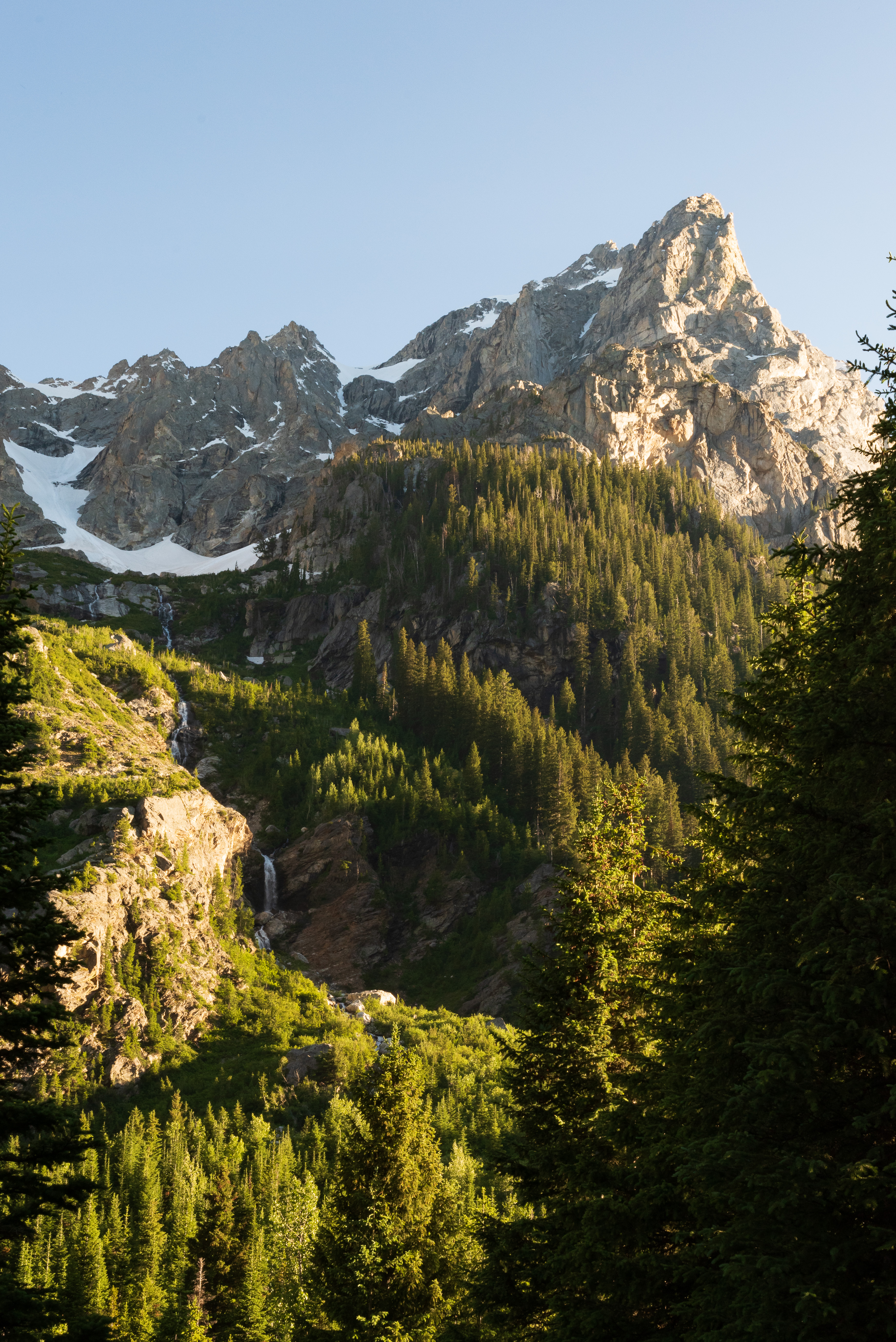 Laden Sie das Natur, Mountains, Bäume, Schnee, Wald-Bild kostenlos auf Ihren PC-Desktop herunter
