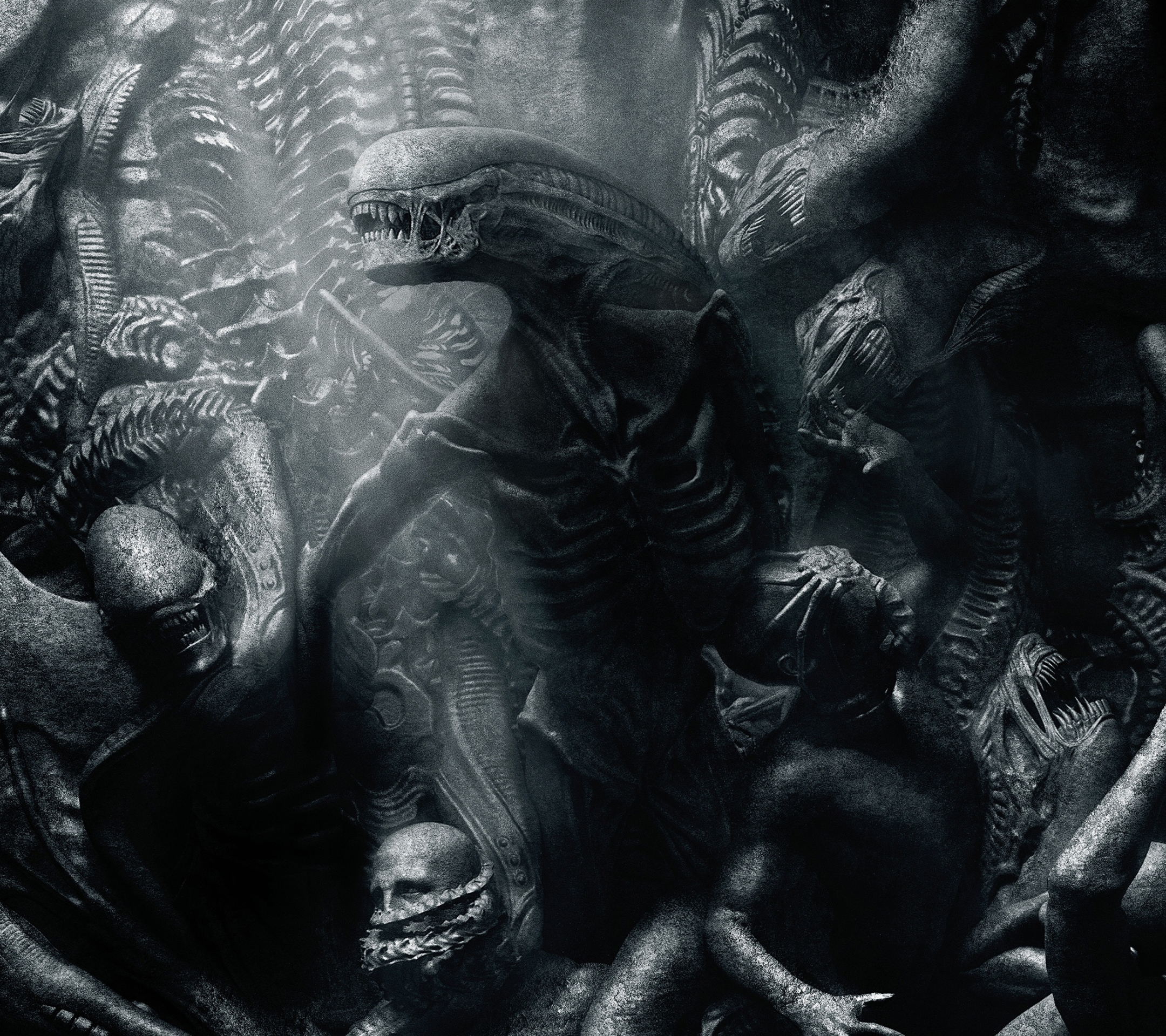 Baixar papel de parede para celular de Filme, Alien O Oitavo Passageiro, Alien: Covenant gratuito.