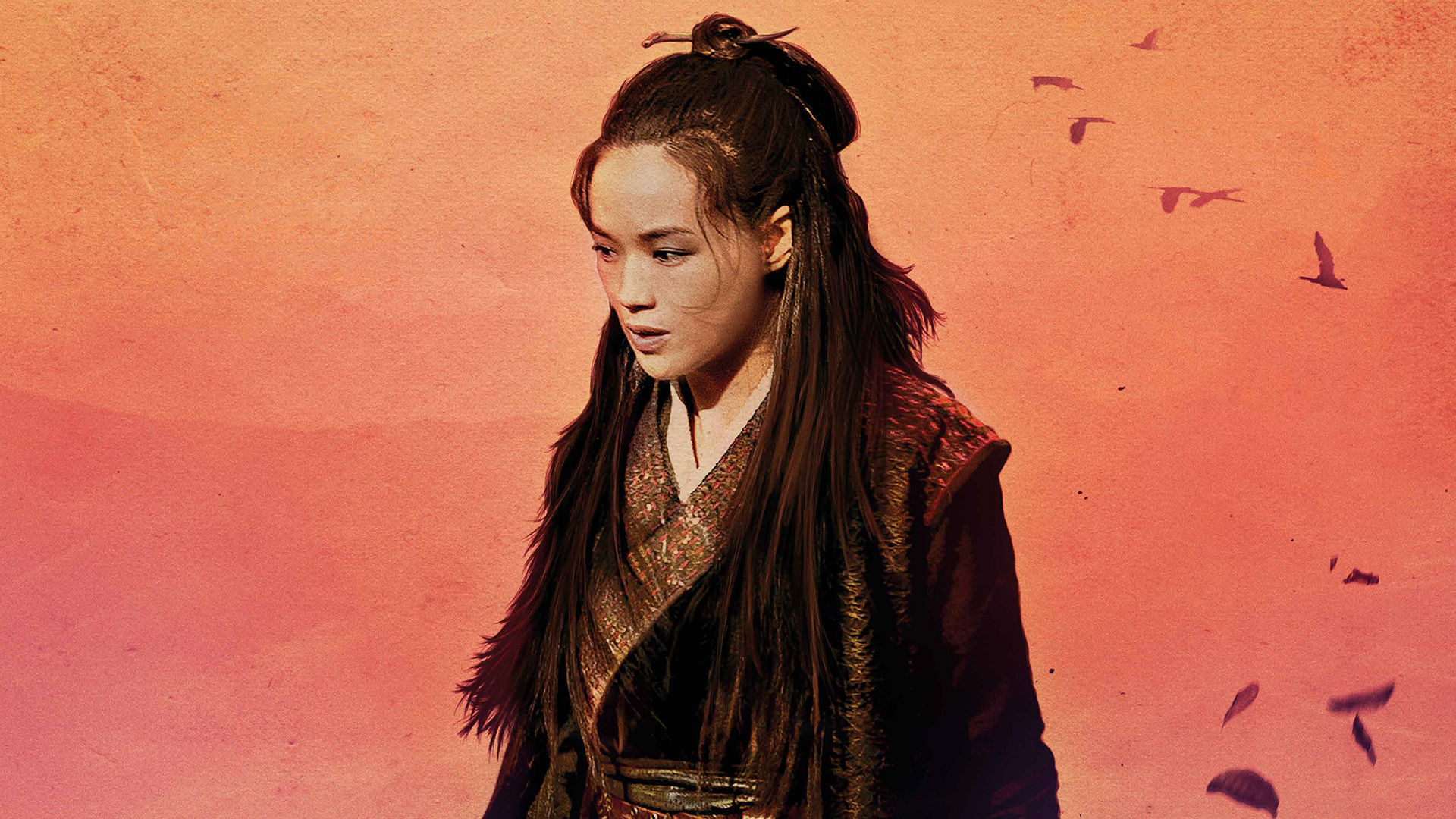Free download wallpaper Movie, The Assassin on your PC desktop