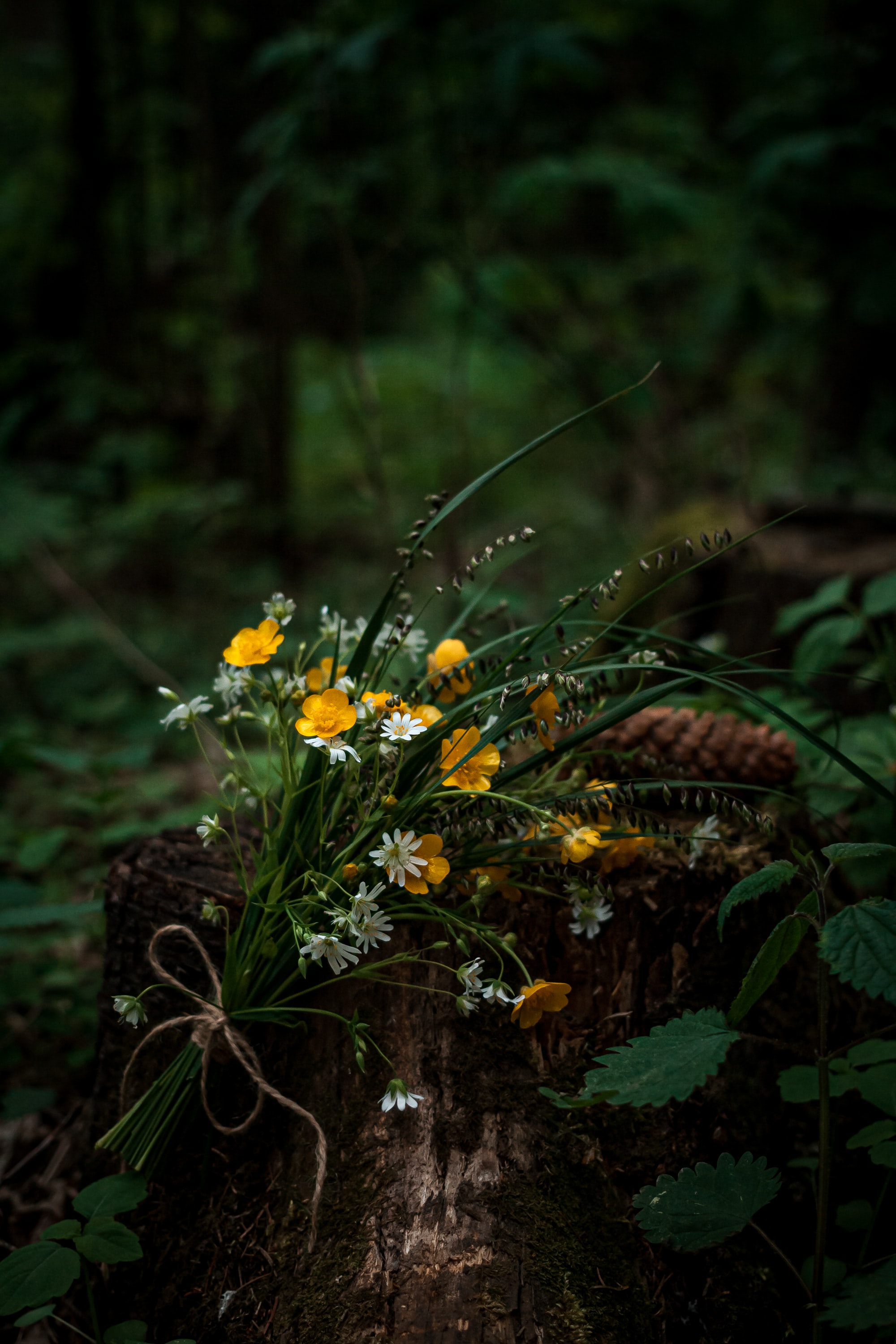 bouquet, wildflowers, flowers, forest