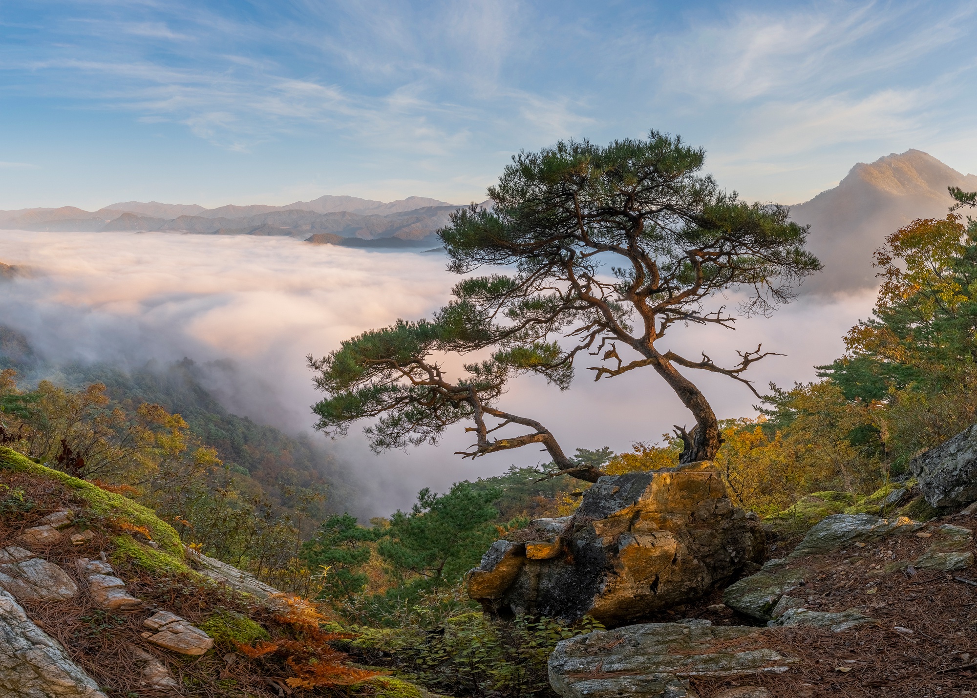 1064430 скачать обои республика корея, земля/природа, туман, море облаков - заставки и картинки бесплатно