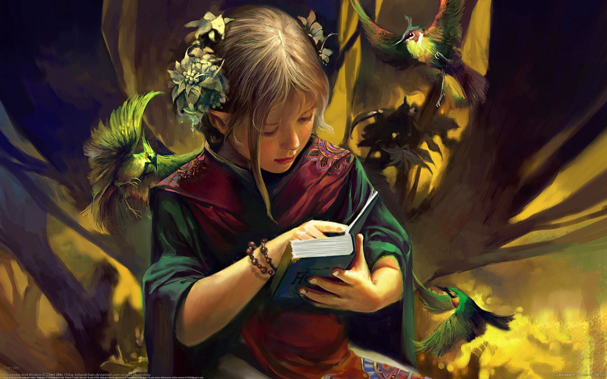 android elf, girl, birds, fantasy, book