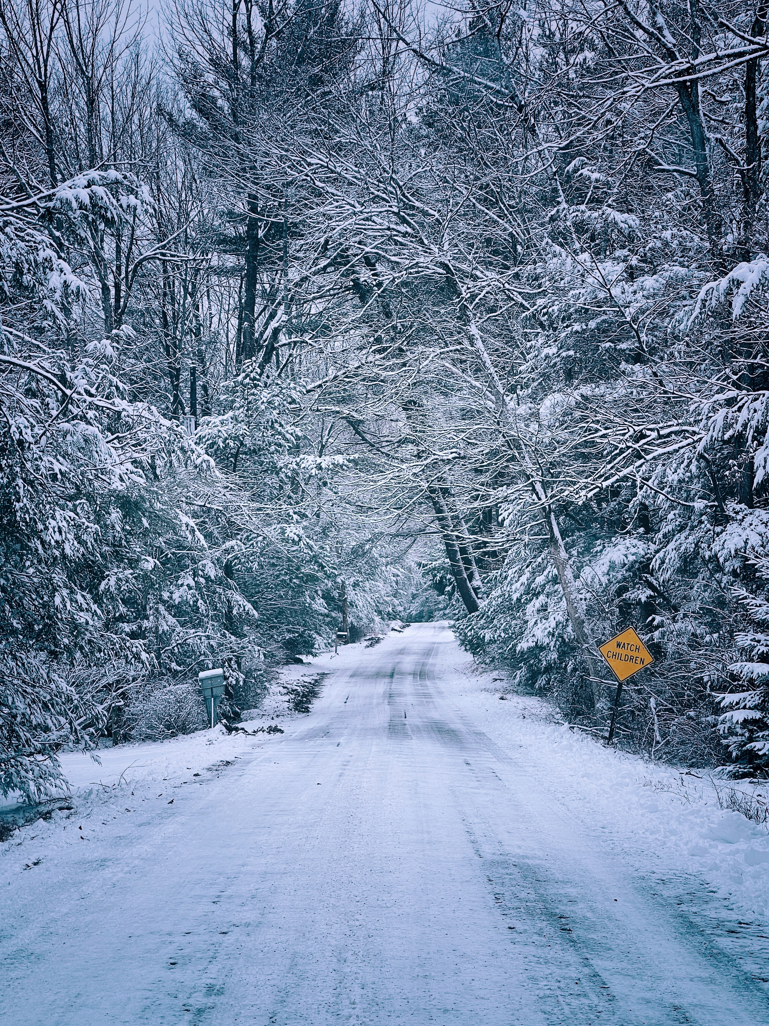 Скачать картинку Снег, Белый, Природа, Дорога, Деревья, Зима в телефон бесплатно.