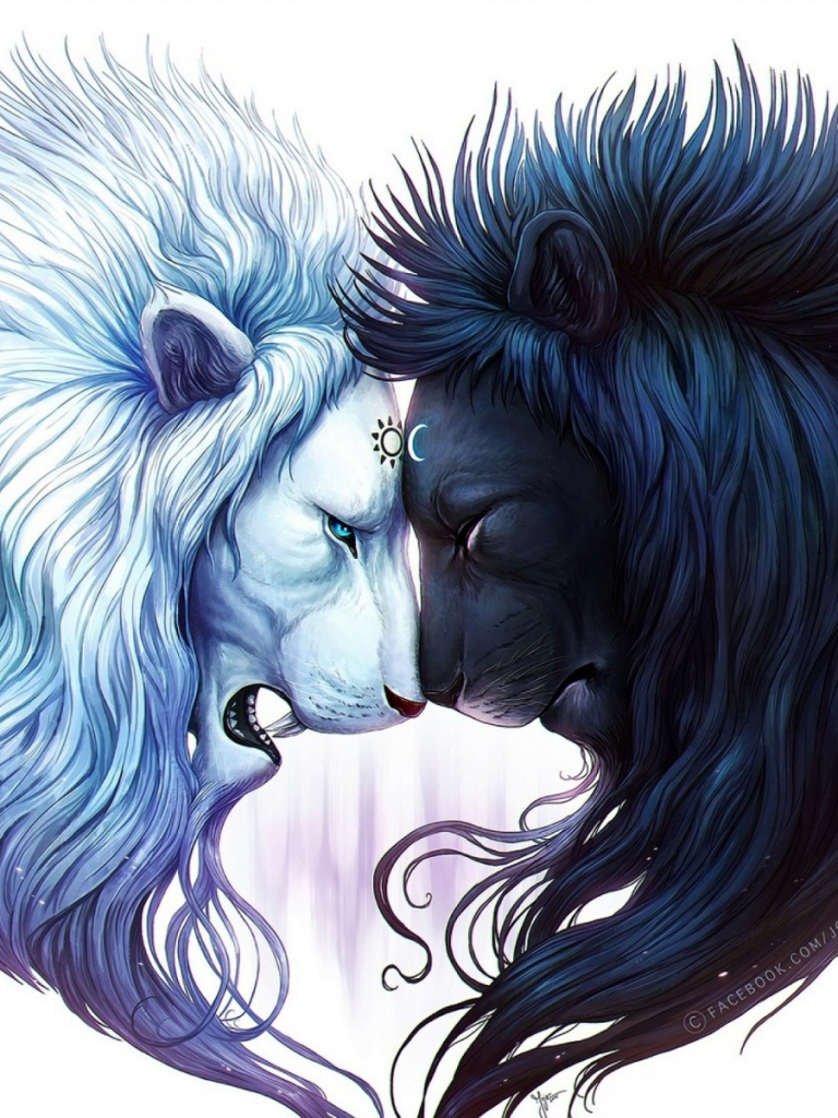Download mobile wallpaper Cats, Lion, Animal, Yin & Yang for free.