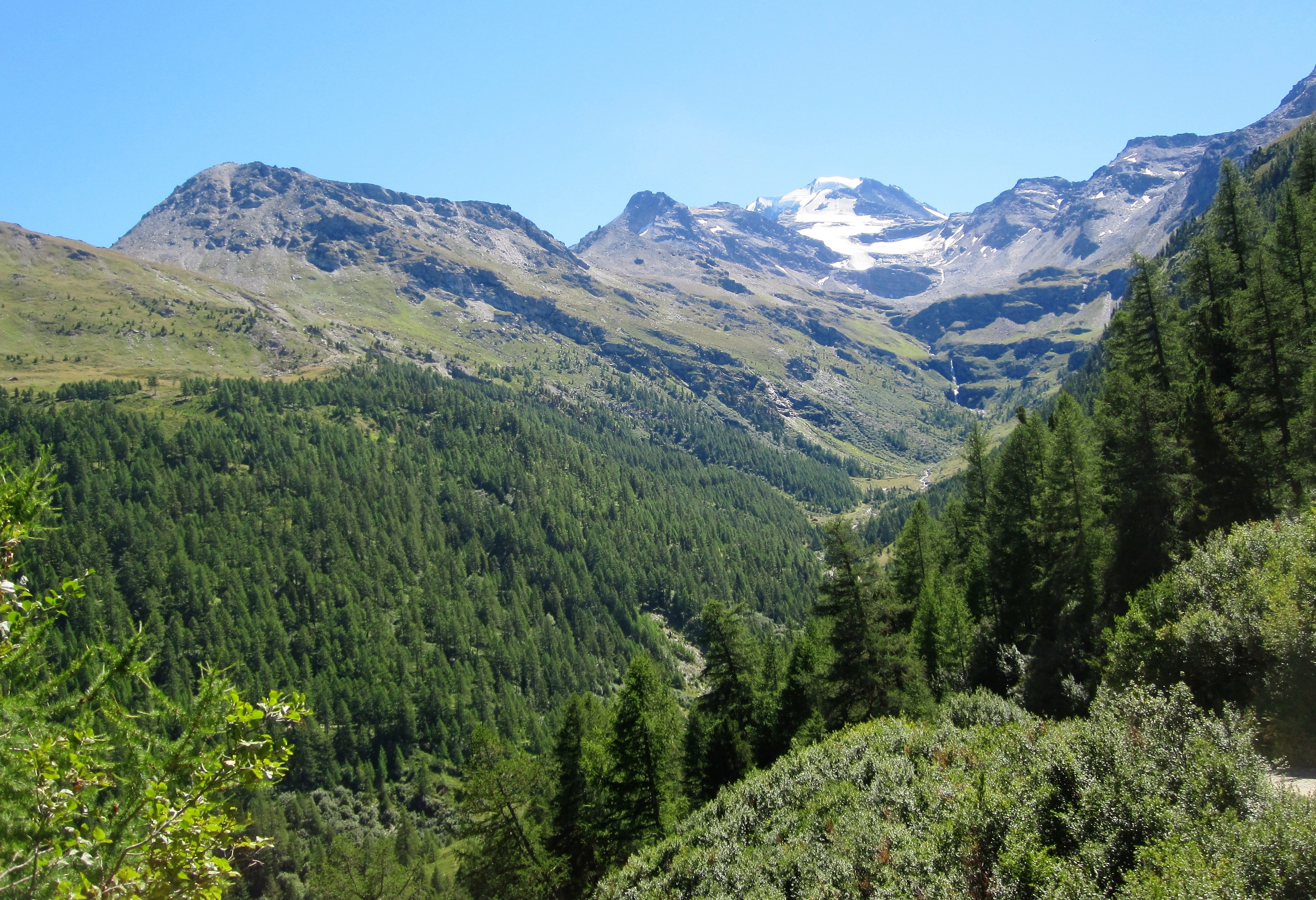 Descarga gratuita de fondo de pantalla para móvil de Naturaleza, Alpes, Montañas, Árboles, Suiza.