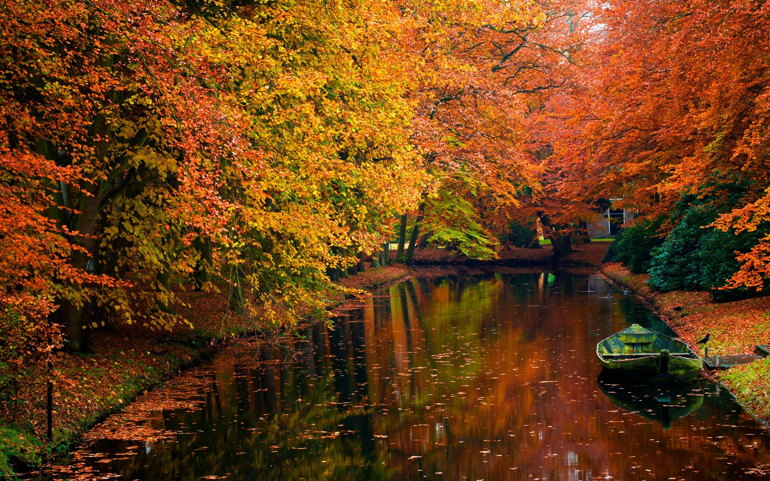 無料モバイル壁紙水, 木, 秋, 葉, 湖, ボート, 写真撮影をダウンロードします。