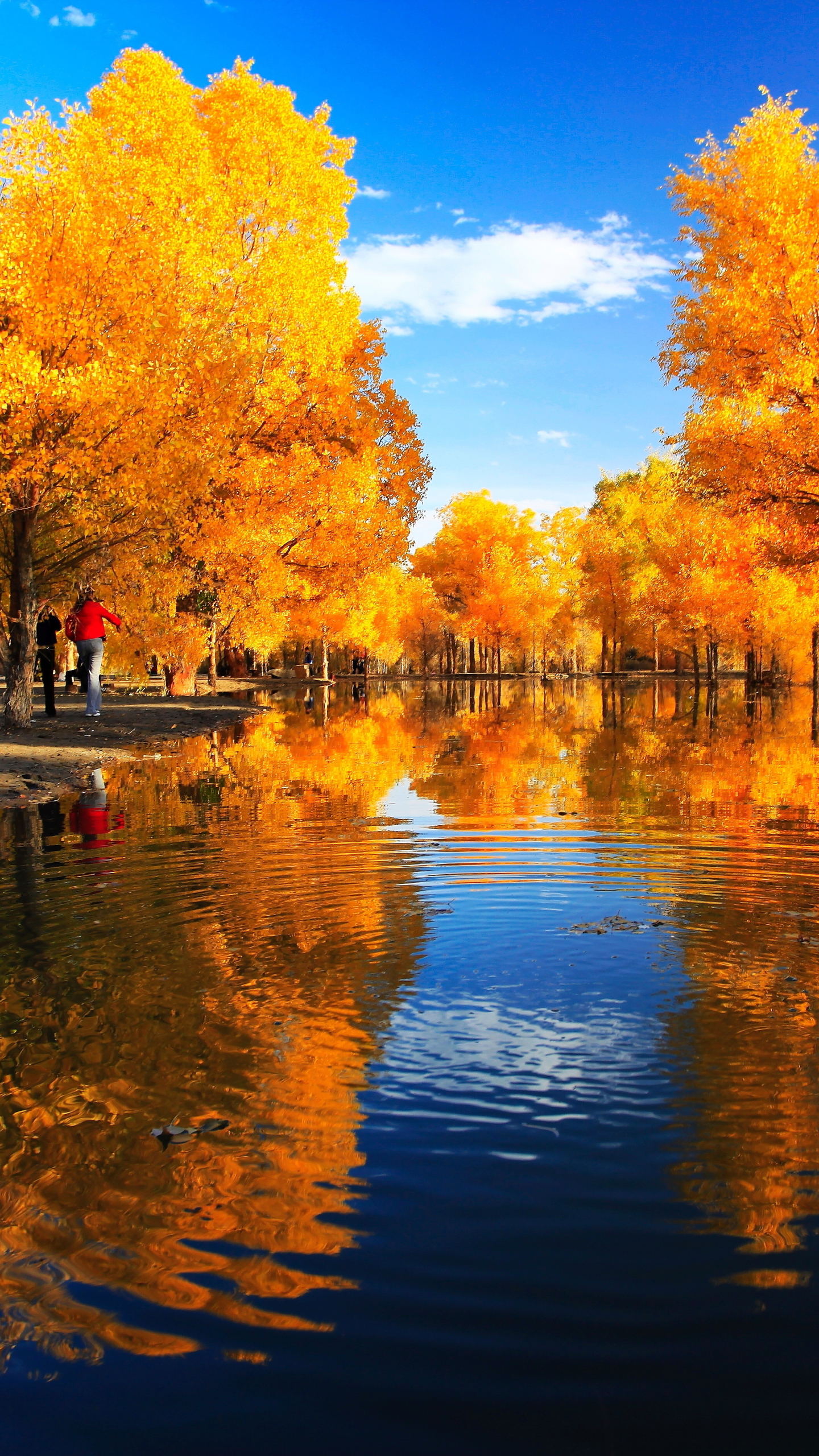 Download mobile wallpaper Reflection, Park, Tree, Fall, China, Photography for free.