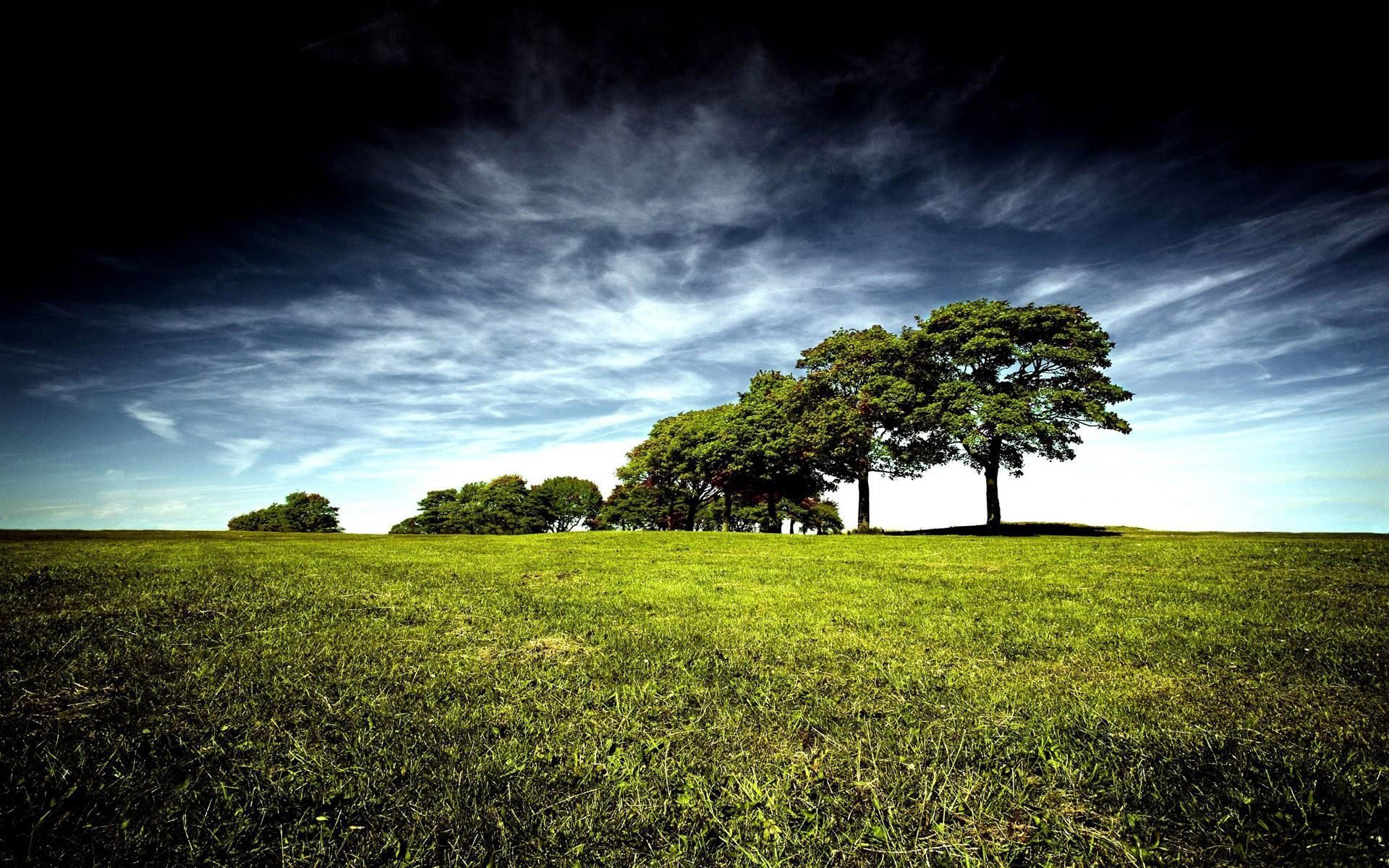 Baixe gratuitamente a imagem Céu, Árvore, Campo, Terra/natureza na área de trabalho do seu PC