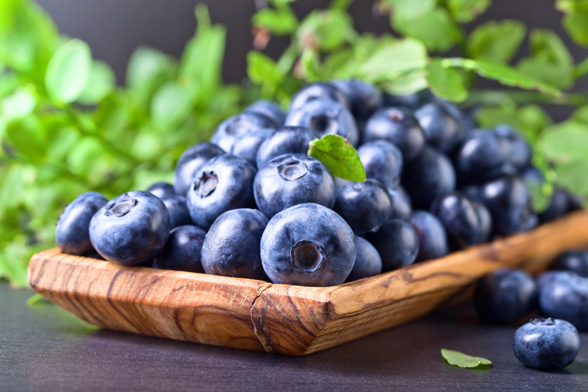 Download mobile wallpaper Food, Blueberry, Berry, Fruit for free.