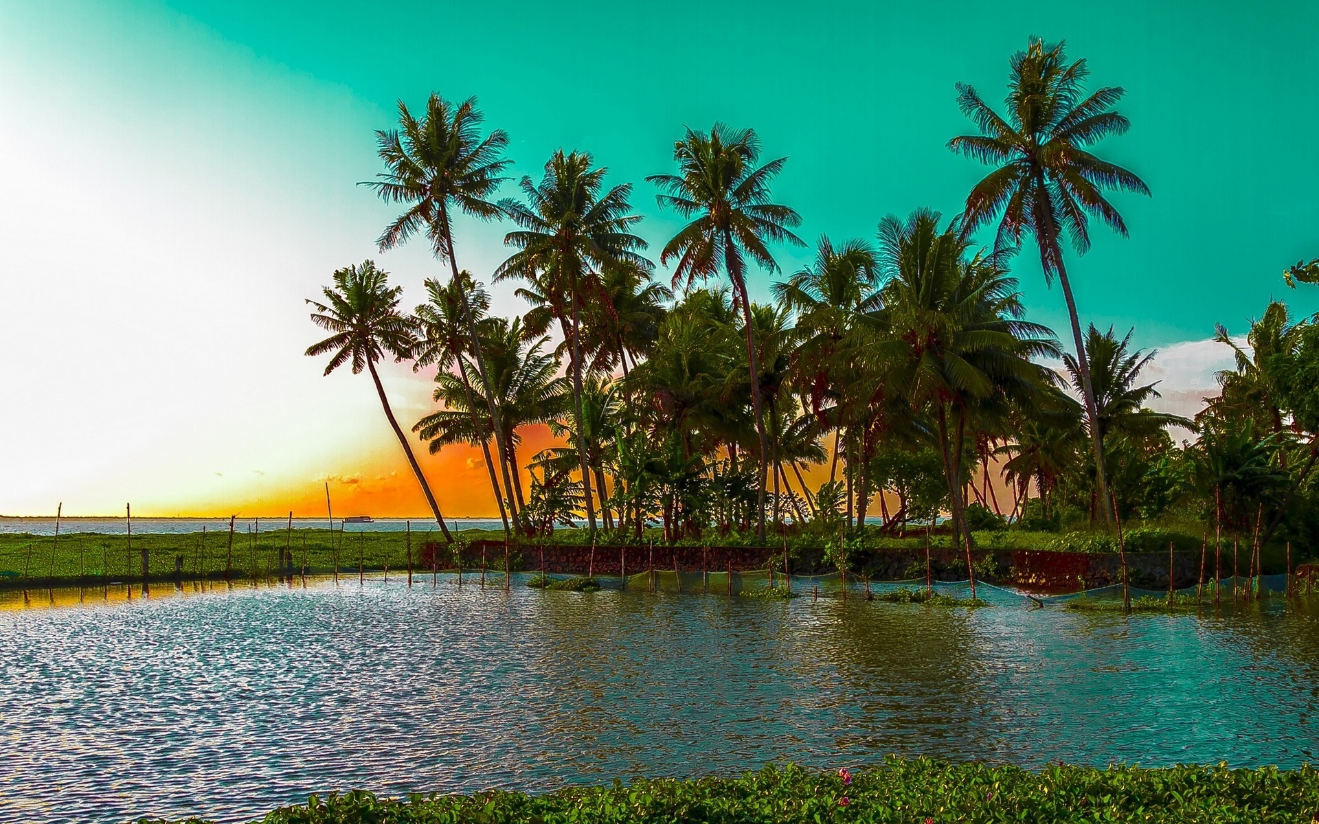 Free download wallpaper Landscape, Palms, Beach on your PC desktop