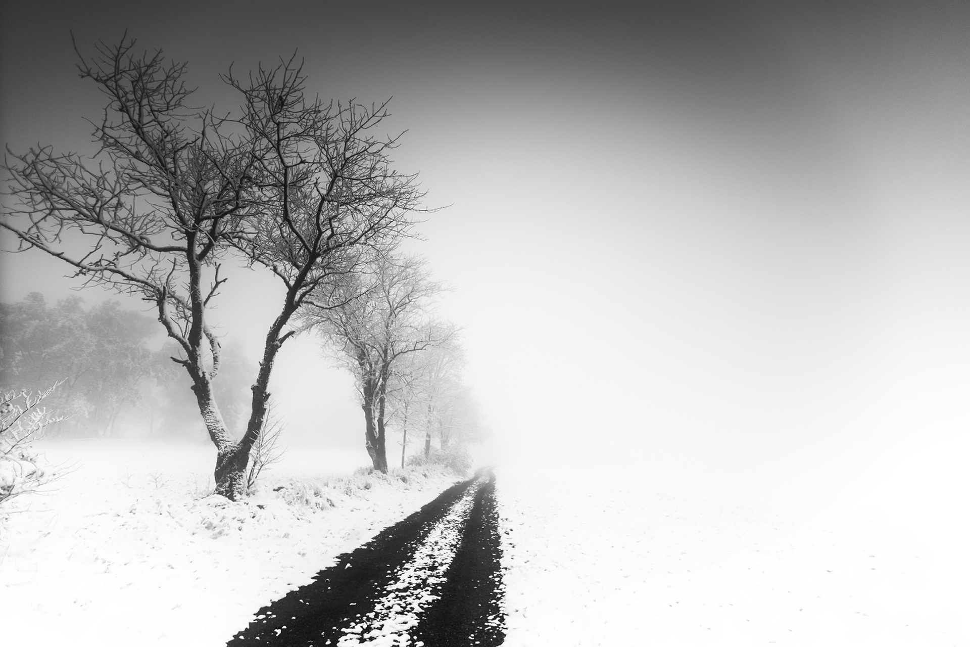 Download mobile wallpaper Winter, Nature, Snow, Fog, Earth, Dirt Road for free.