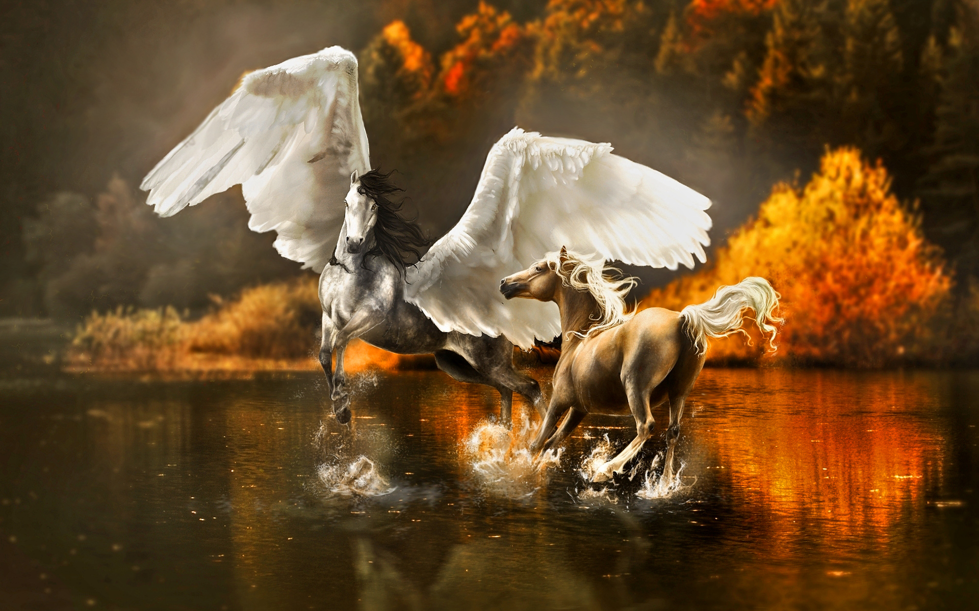 Laden Sie das Fantasie, Pegasus, Fantasietiere-Bild kostenlos auf Ihren PC-Desktop herunter