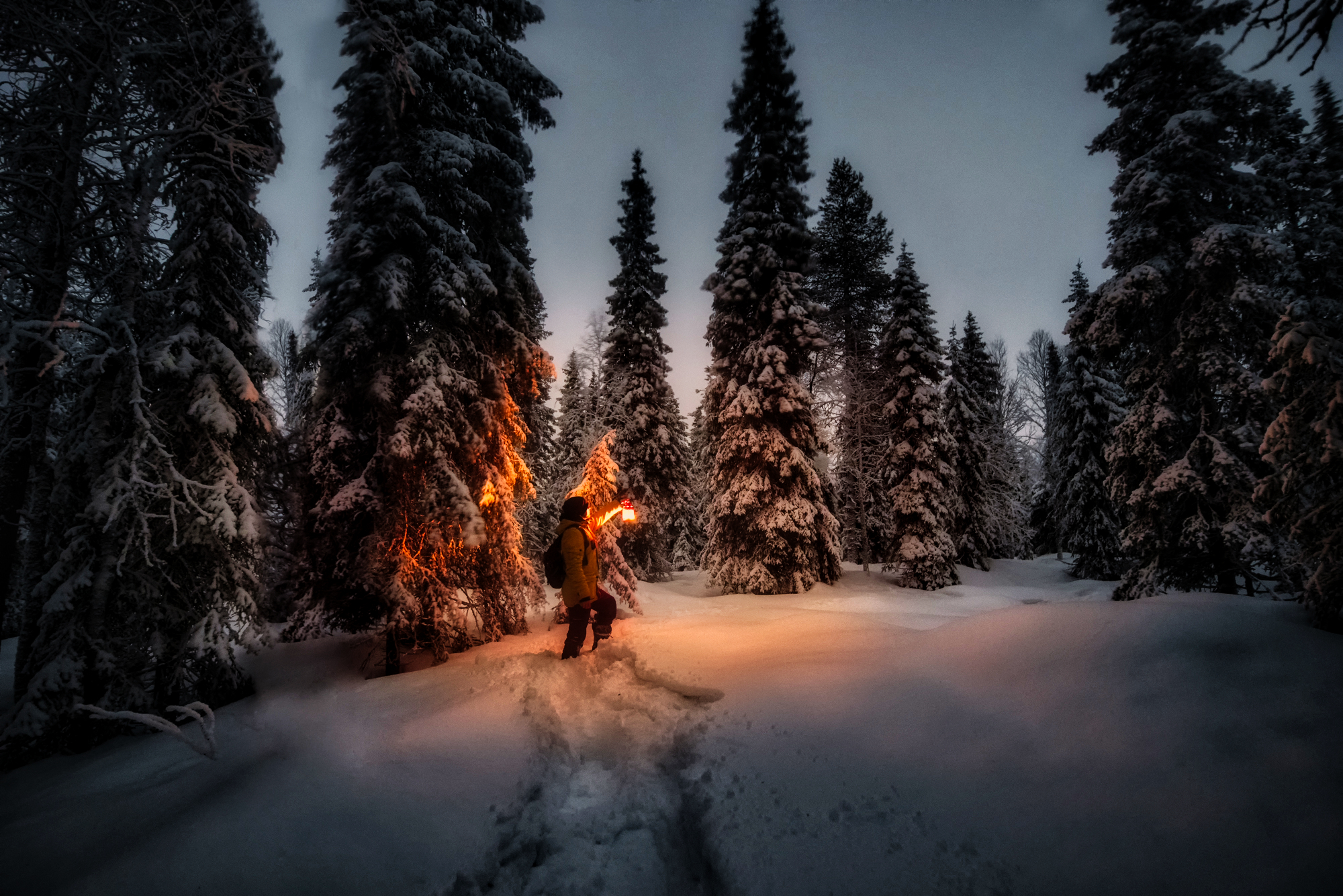 Baixe gratuitamente a imagem Inverno, Noite, Neve, Lanterna, Fotografia na área de trabalho do seu PC