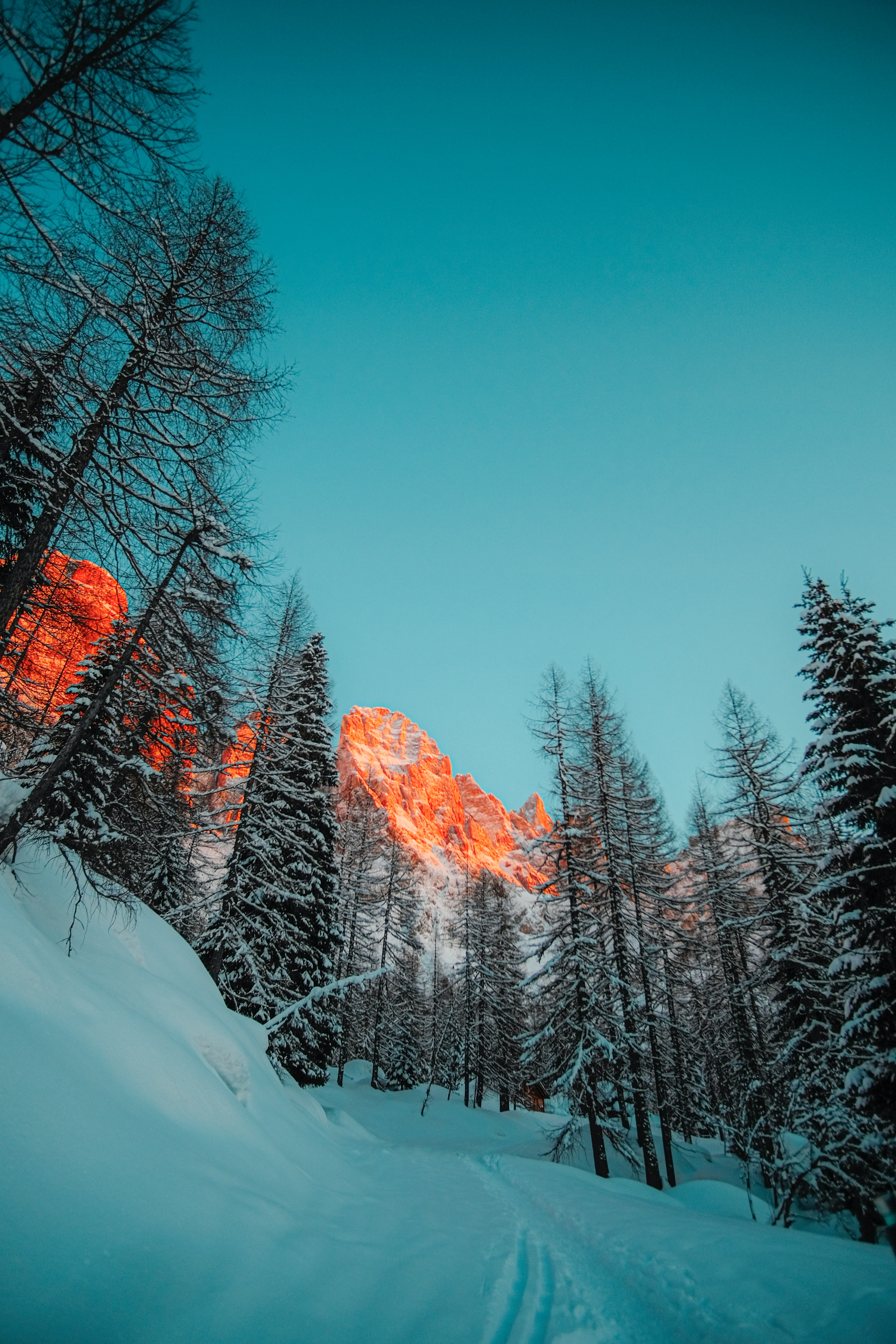 Descarga gratuita de fondo de pantalla para móvil de Naturaleza, Montañas, Nieve, Bosque, Árboles, Invierno.