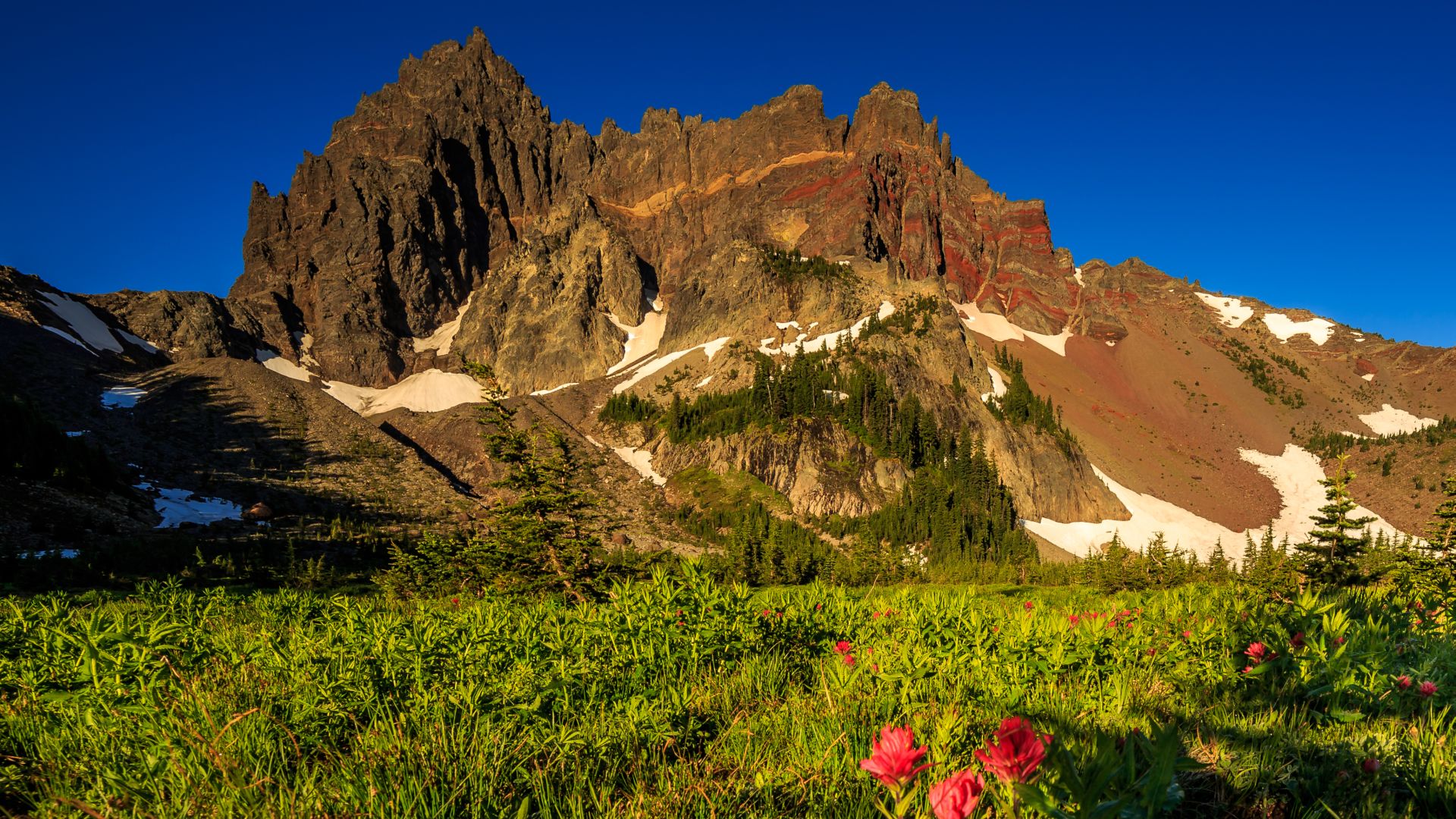 Laden Sie Mount Three Fingered Jack HD-Desktop-Hintergründe herunter